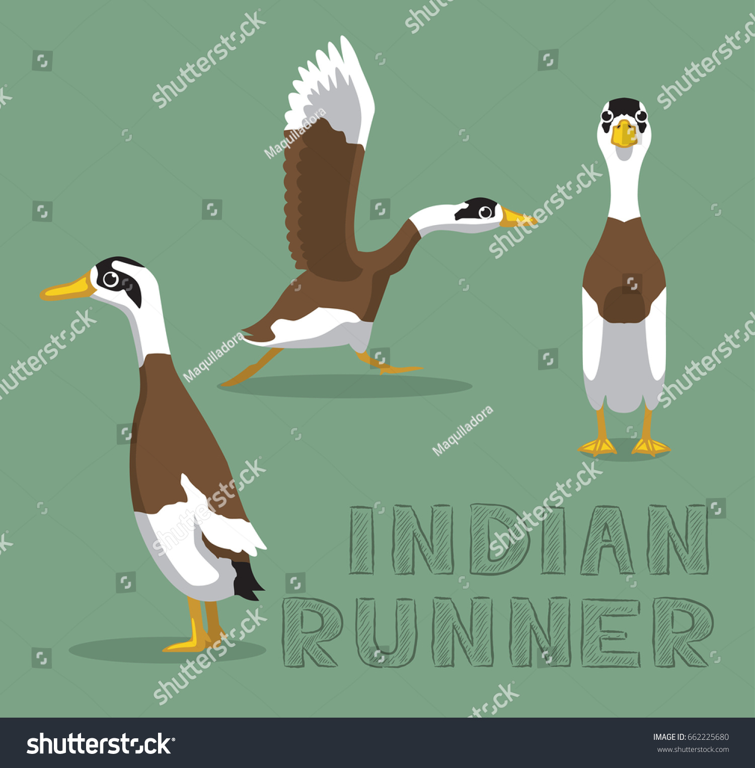 SVG of Duck Indian Runner Cartoon Vector Illustration svg