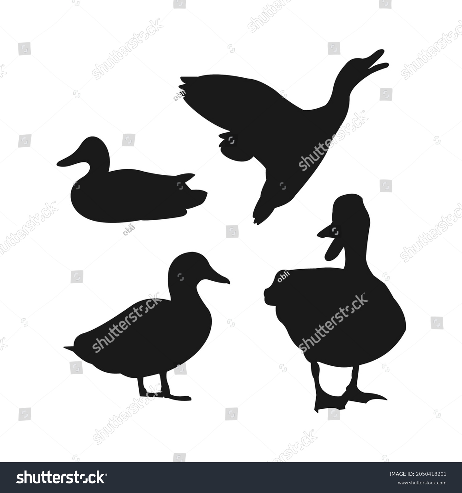 Duck Models Vector Silhouette Quack Vector Stock Vector (Royalty Free ...