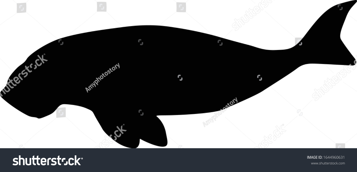 SVG of Dugong (Dugon Dugon) Silhouette Vector Found In Indonesia And Australia svg