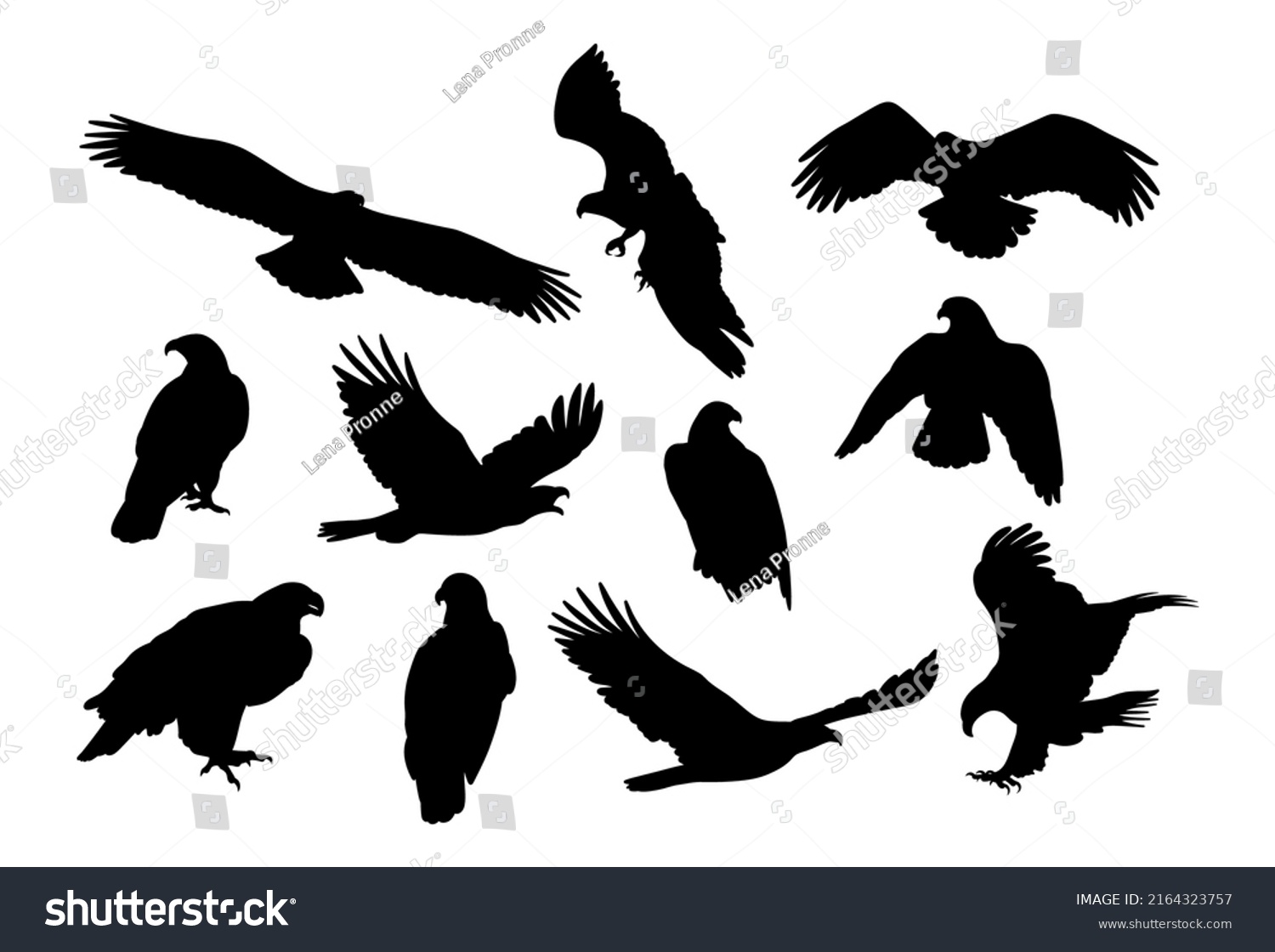 SVG of Eagle, kite. Black and white bird silhouette. svg