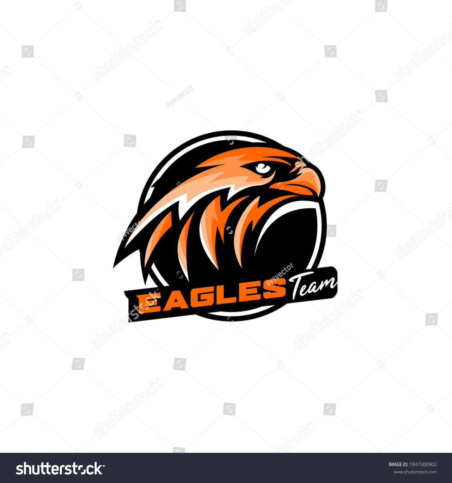 Eagle Team Ssport Sports Logo Template Stock Vector Royalty Free Shutterstock