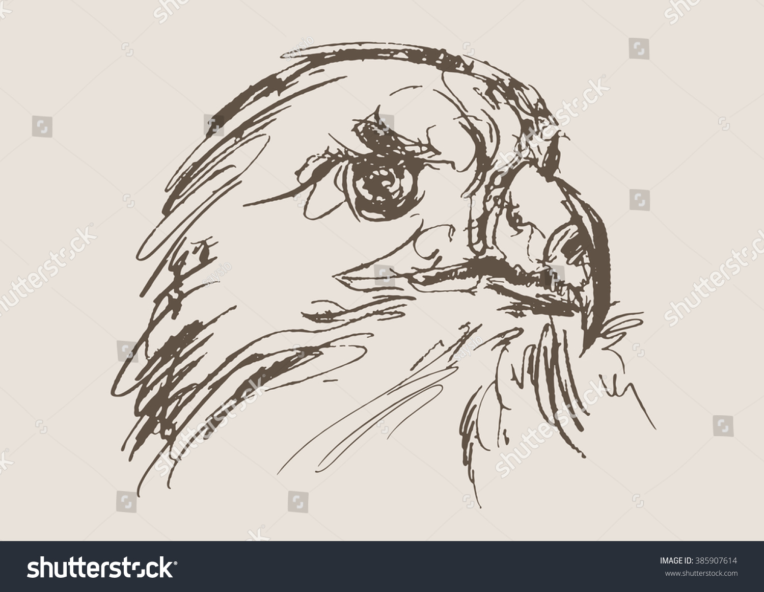 Eagle vector hand draw sketch