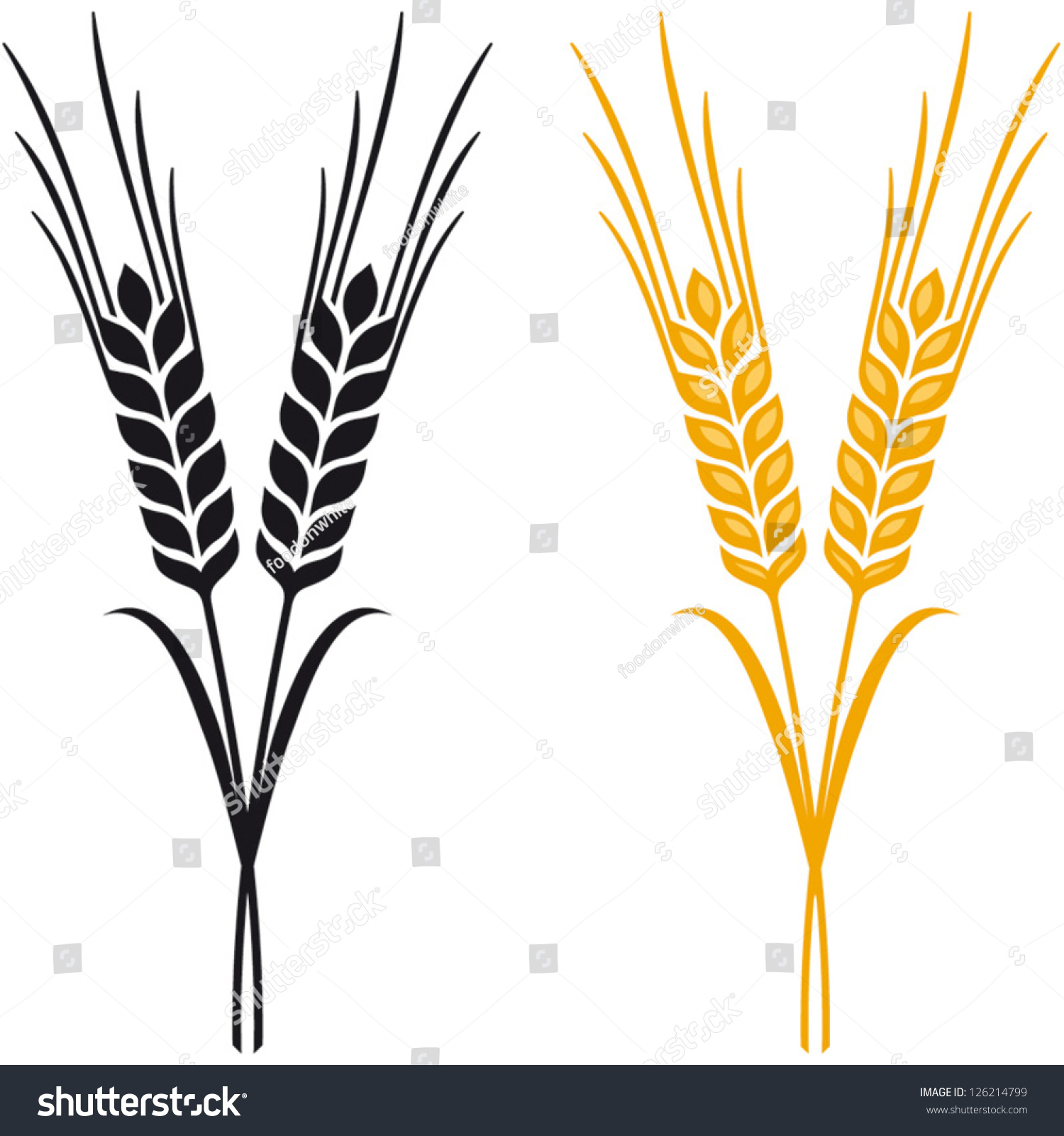 Ears Of Wheat, Barley Or Rye Vector Visual Graphic Icons, Ideal For ...