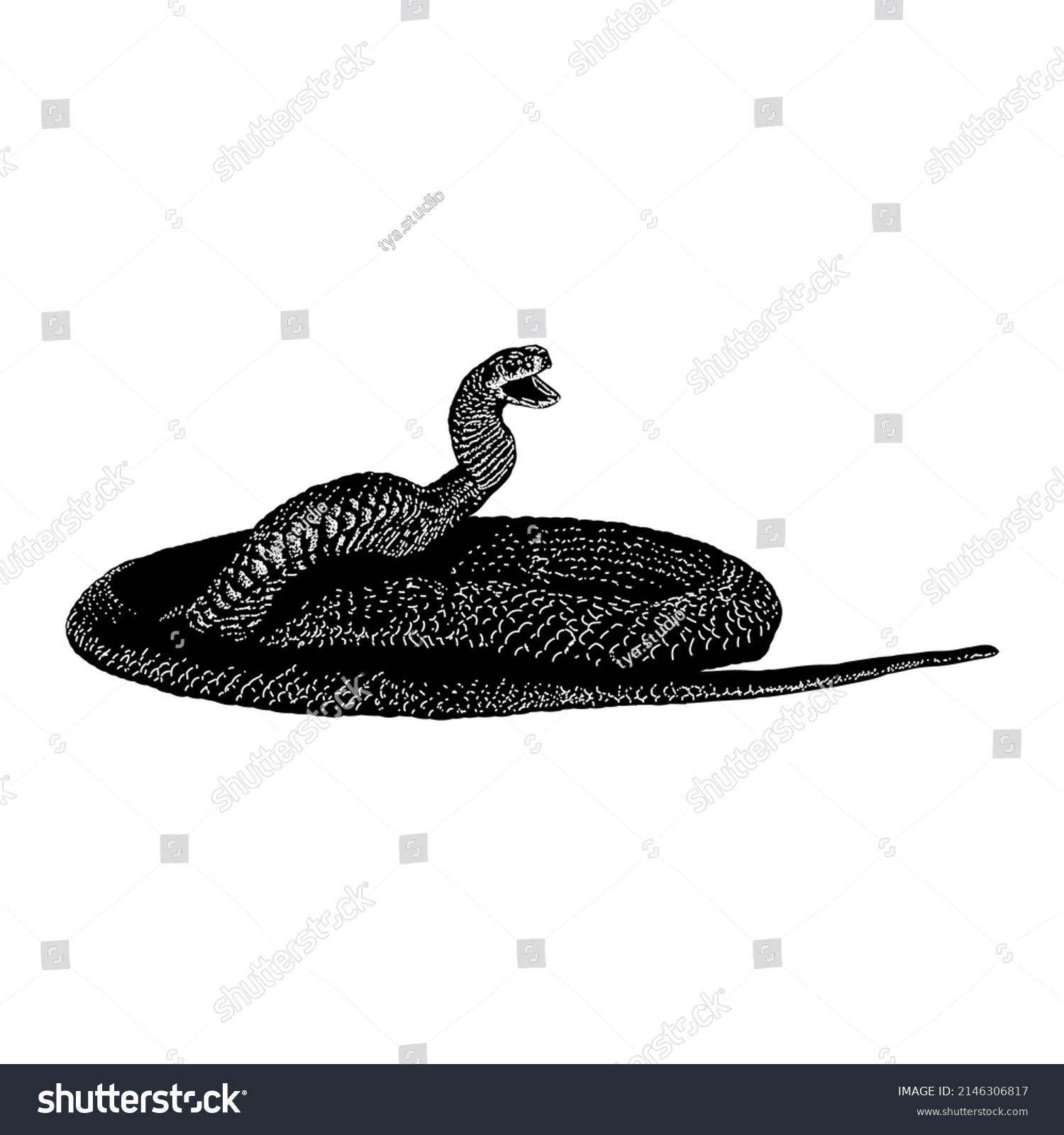 Eastern Brown Snake Hand Drawing Vector Stock Vector (Royalty Free ...