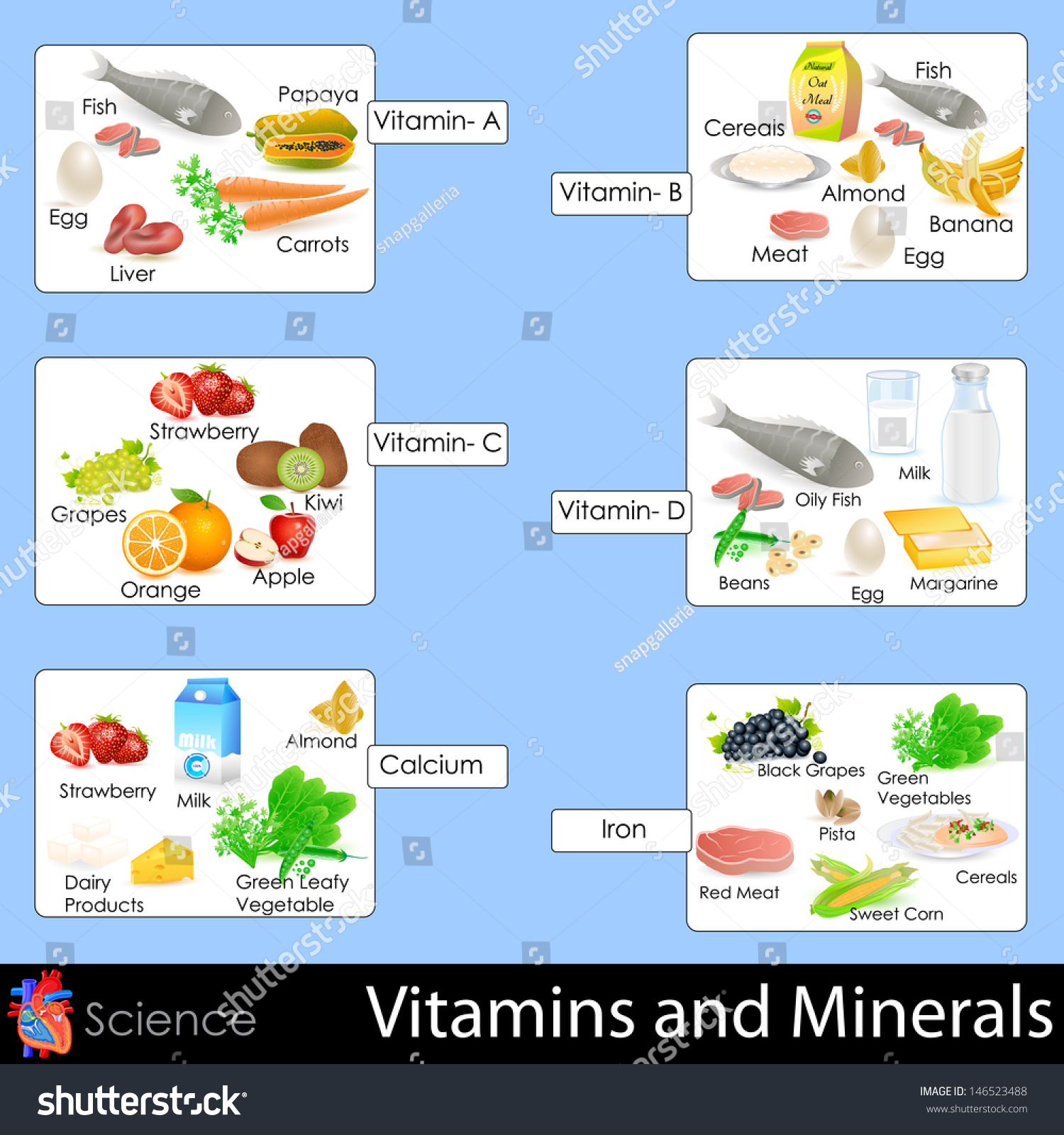 Vitamins A To Z Chart