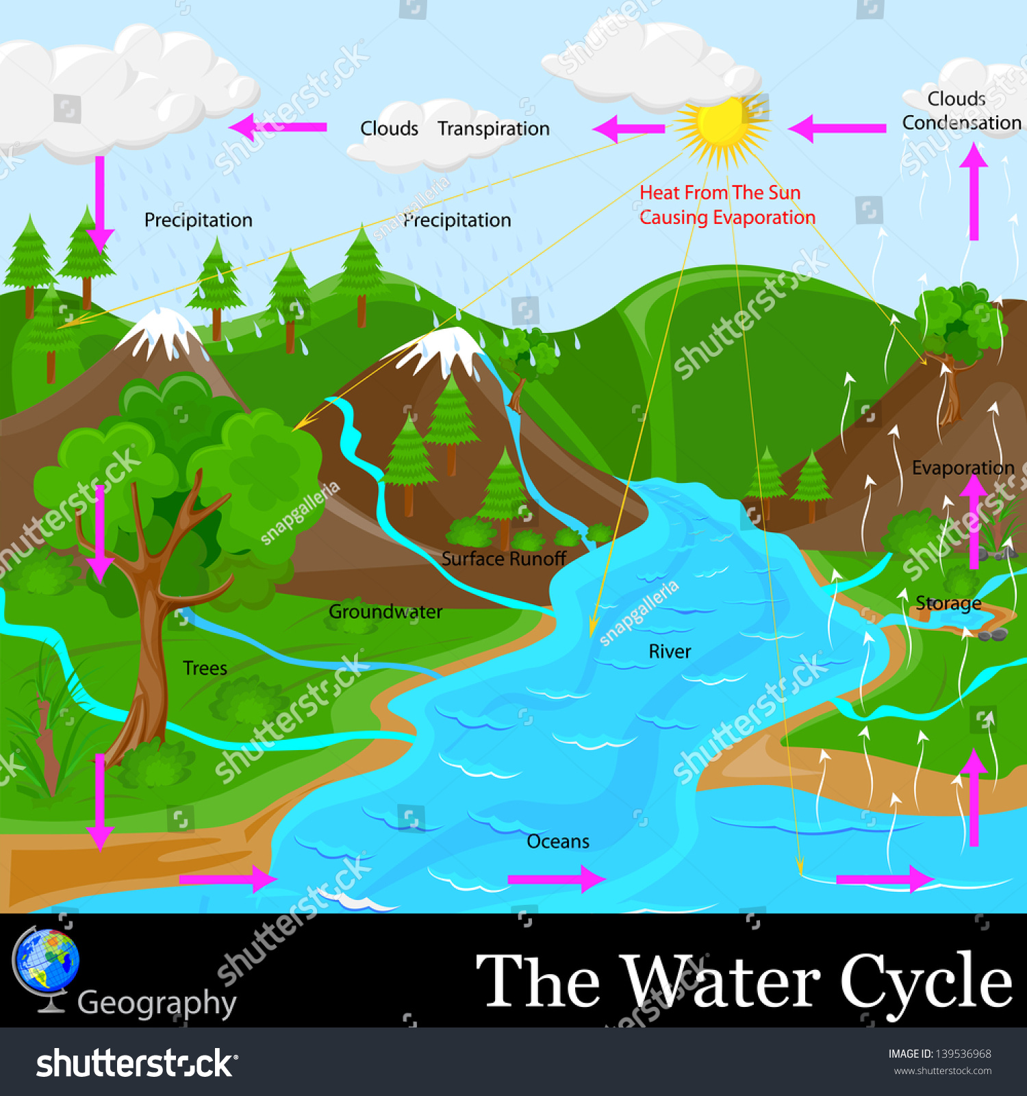 Easy Edit Vector Illustration Water Cycle Stock Vector 139536968 ...