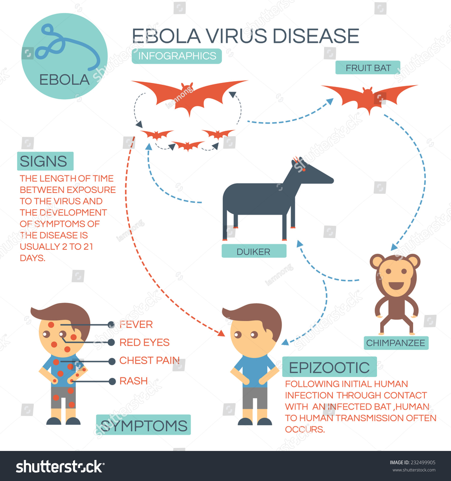 Ebola Virus Disease Infographics Stock Vector 232499905 - Shutterstock