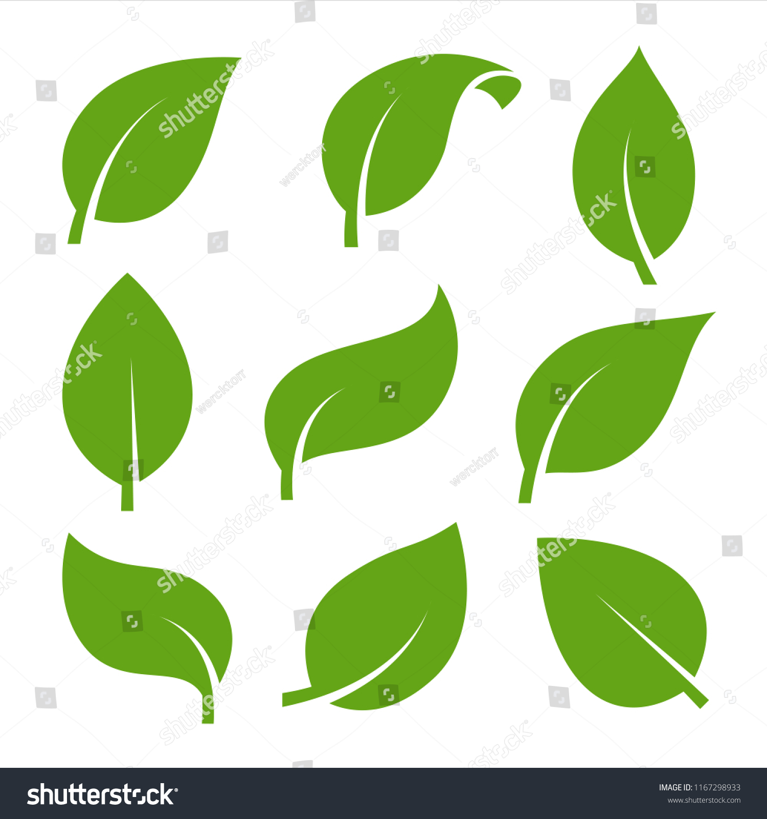 SVG of Eco green color leaf vector logo flat icon set. Isolated leaves shapes on white background. Bio plant and tree floral forest concept design. svg