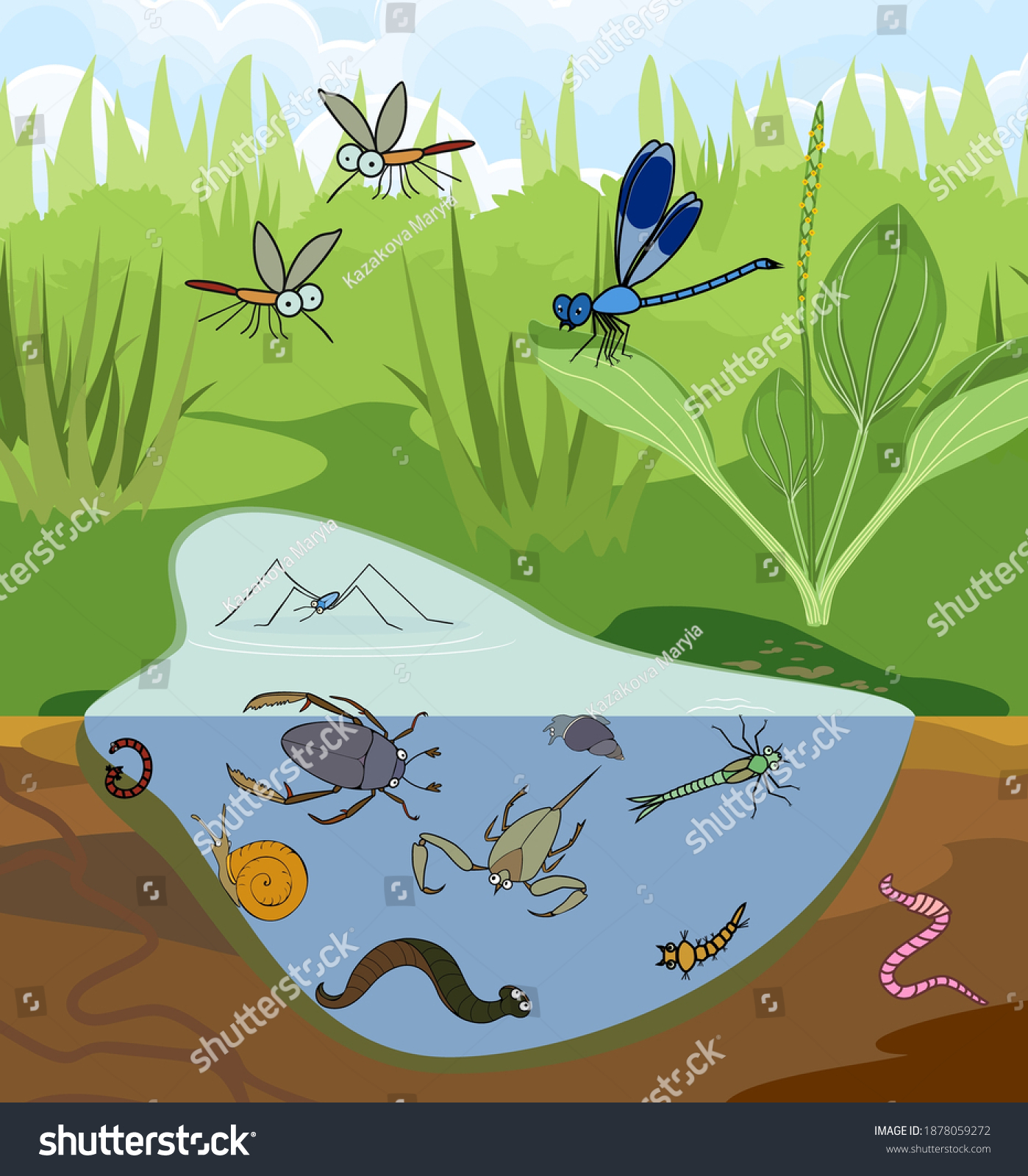 Ecosystem Pond Insects Other Invertebrates Animals Stock Vector ...