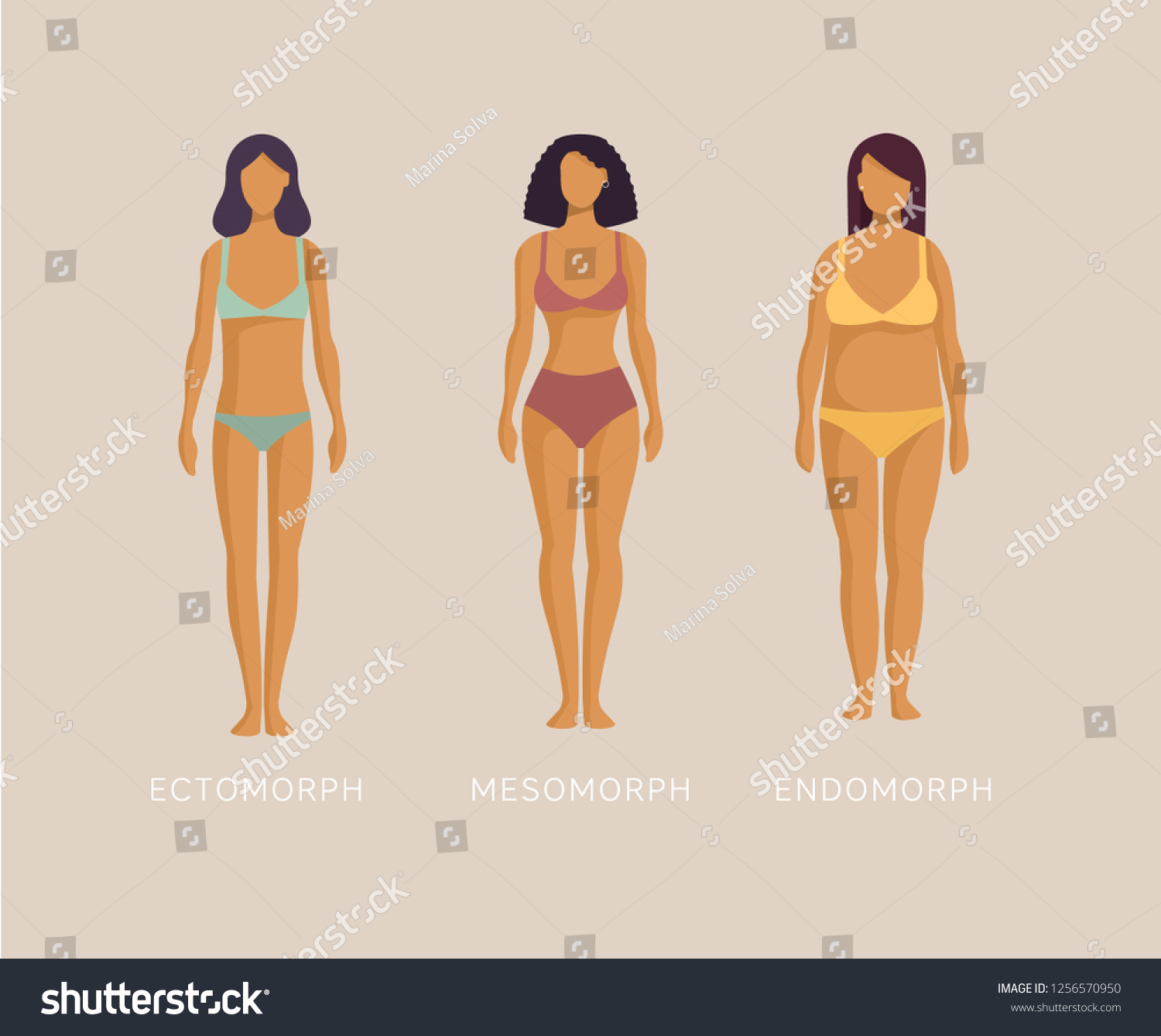 Suchen Sie Nach Ektomorph Mesomorph Endomorph Frauen In Unterwasche Stockbildern In Hd Und Millionen Weiteren Lizenzfreien Stockfotos Illustrationen Und Vektorgrafiken In Der Shutterstock Kollektion Jeden Tag Werden Tausende Neue