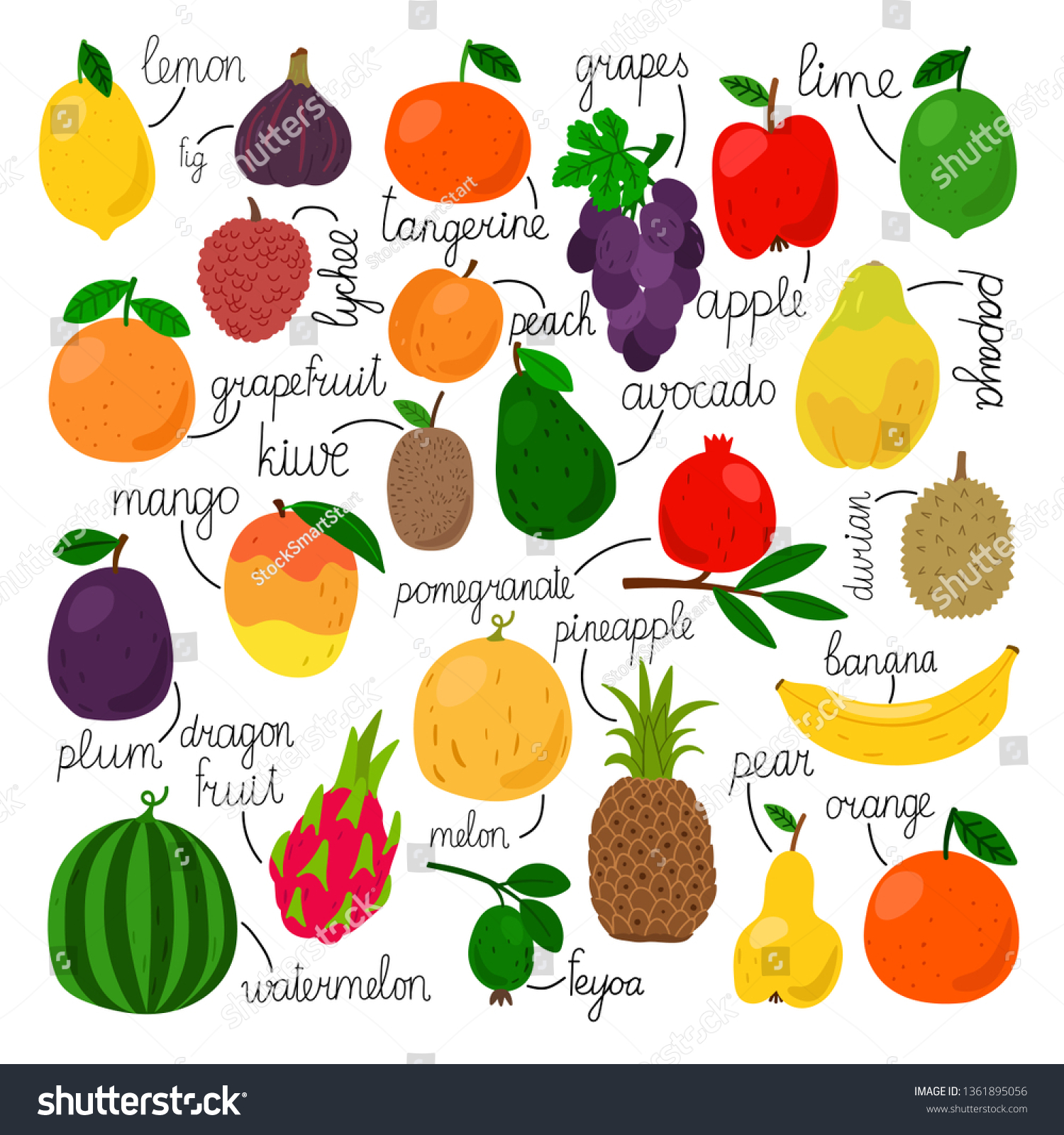 Edible Fruits Collection Tropical Fruit Set Stock Vector Royalty Free edible-fruits-collection-tropical-fruit-set-stock-vector-royalty-free