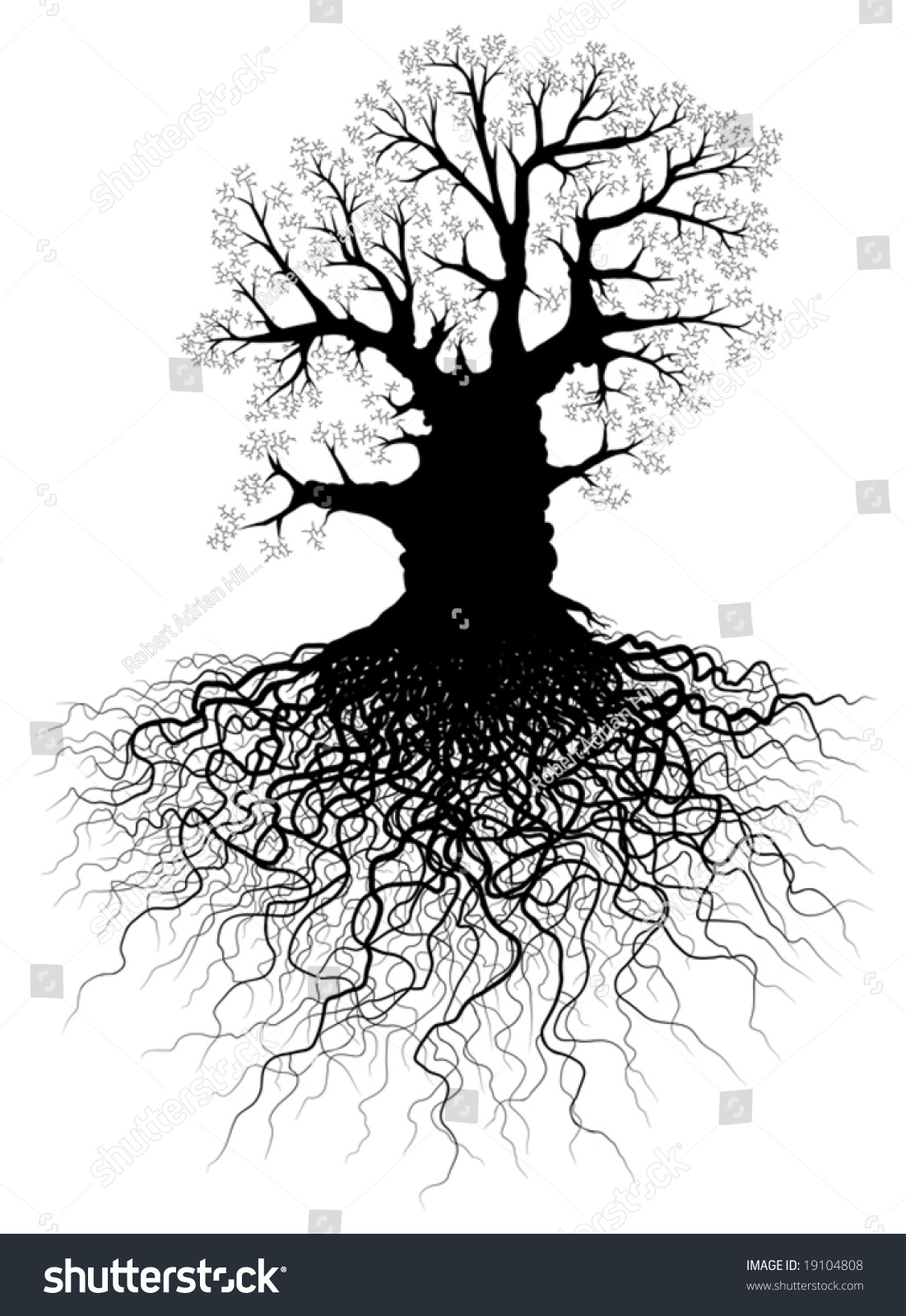 Editable Vector Illustration Of A Leafless Oak Tree With Root System ...