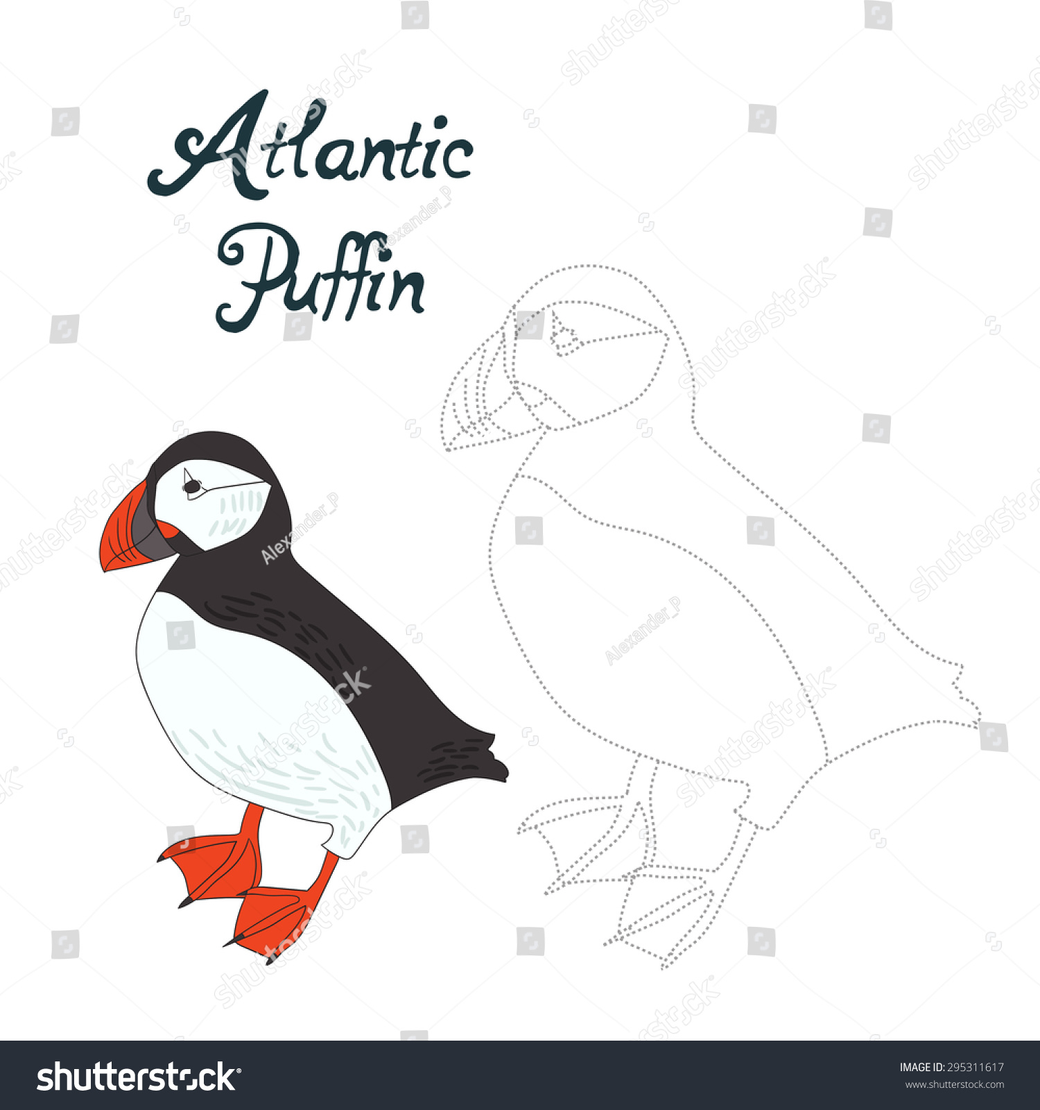 Educational Game Connect The Dots To Draw Atlantic Puffin Bird Vector