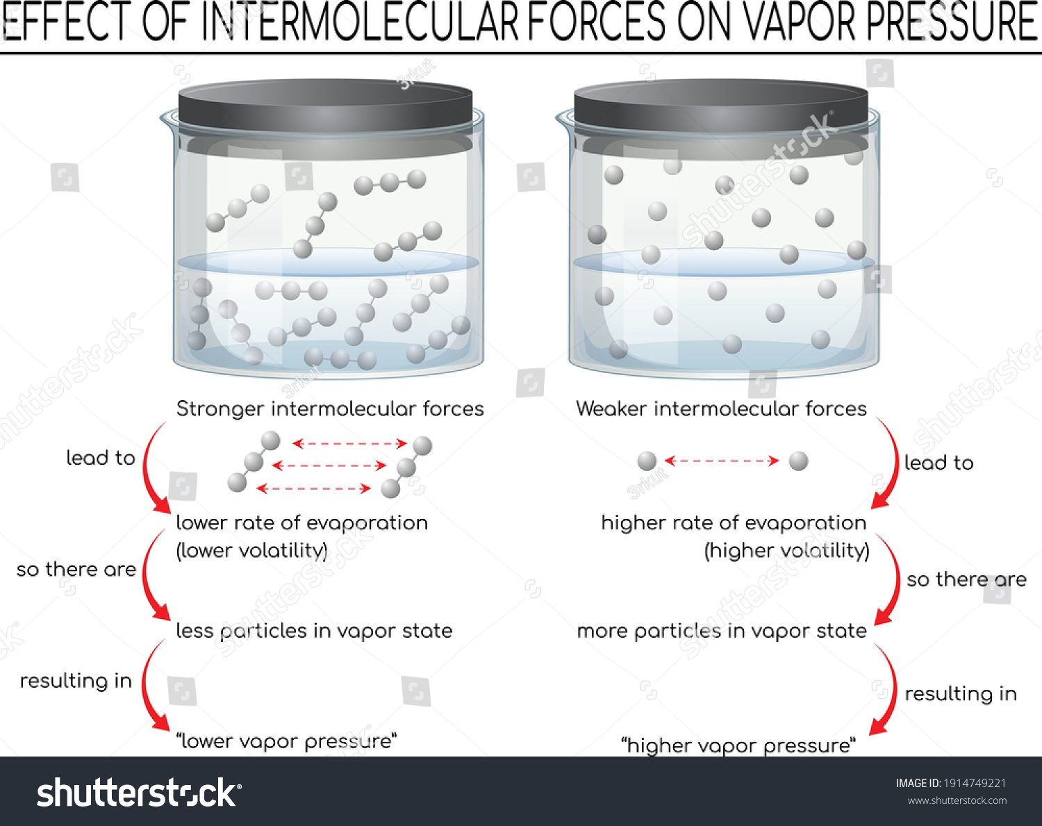 effect-intermolecular-forces-on-vapor-pressure