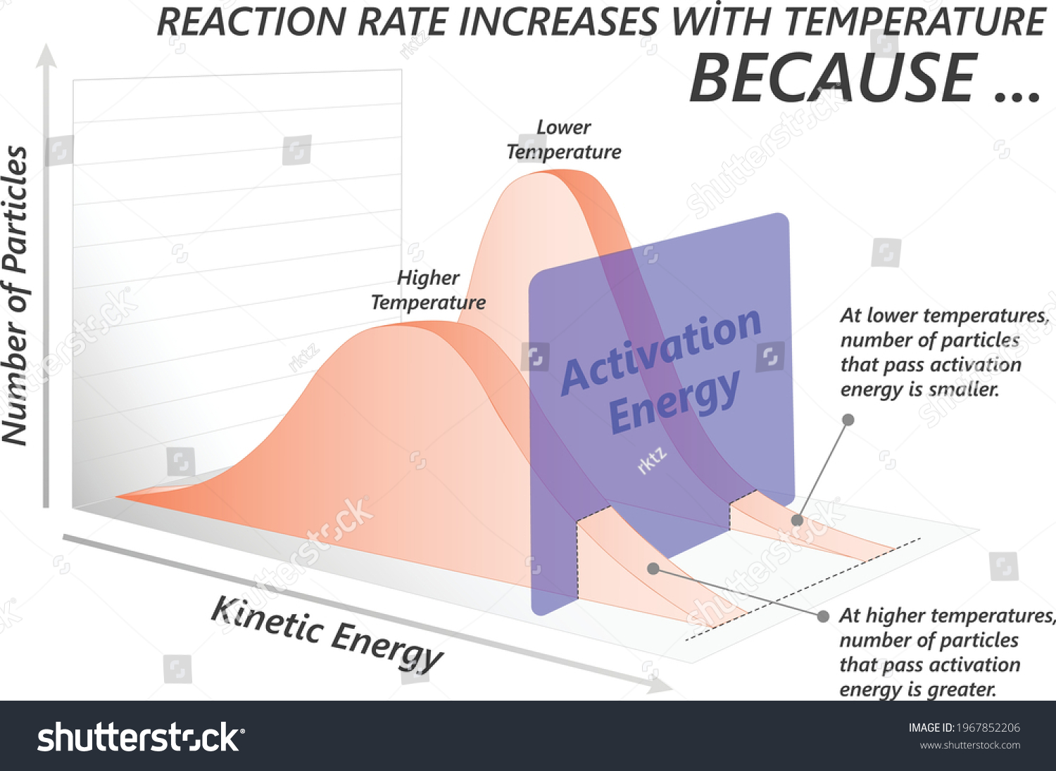 Effect Temperature On Reaction Rate Stock Vector (Royalty Free ...