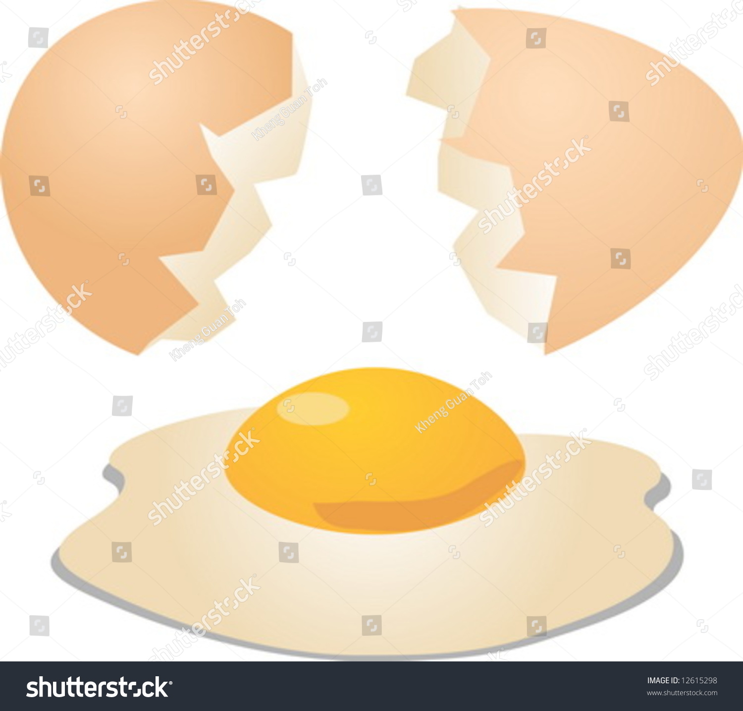 Eggs Cracked Open Shell Egg Yolk Stock Vector 12615298 - Shutterstock