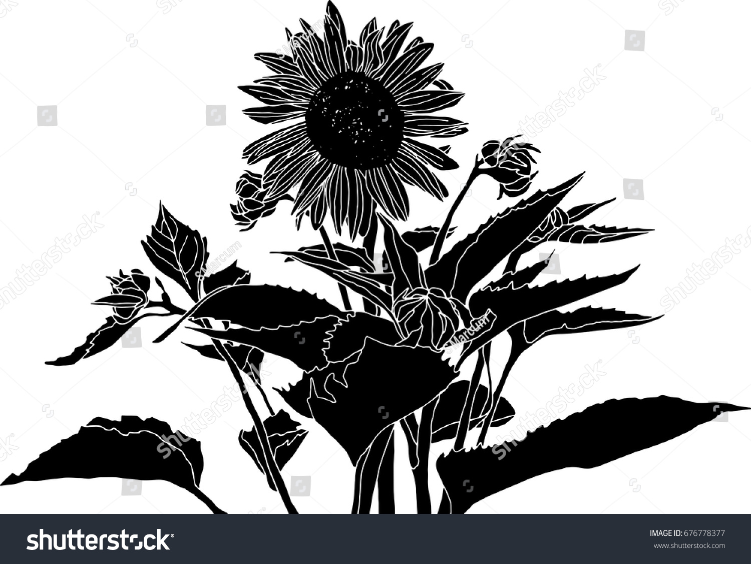 Elegant Black White Sunflower Vector Drawing Stock Vector ... for Clipart Sunflower Black And White
557yll Elegant Black White Sunflower Vector Drawing Stock Vector ... for Clipart Sunflower Black And White
557yll