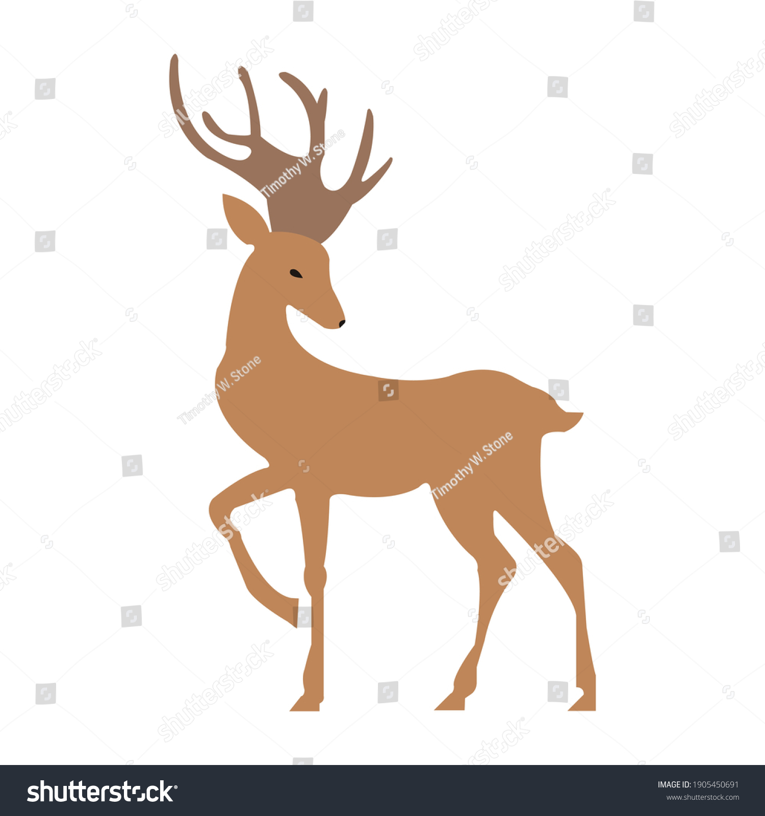 227,970 Brown deer Images, Stock Photos & Vectors | Shutterstock