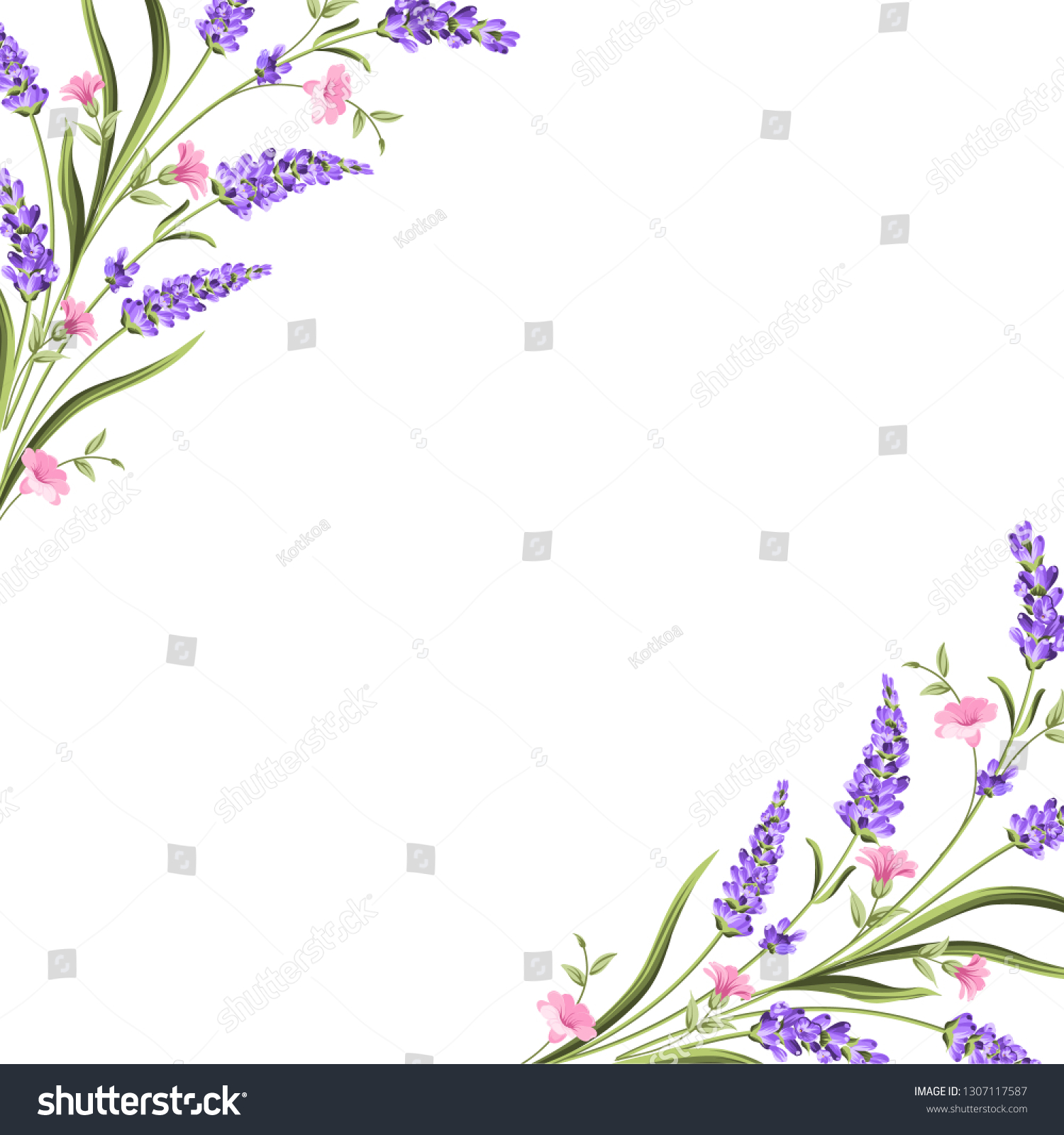 水彩絵の具にラベンダー色の花がついた優雅なカード ラベンダーのフレームとテキスト テキストプレゼンテーション用のラベンダー色の枠 ベクターイラスト のベクター画像素材 ロイヤリティフリー Shutterstock