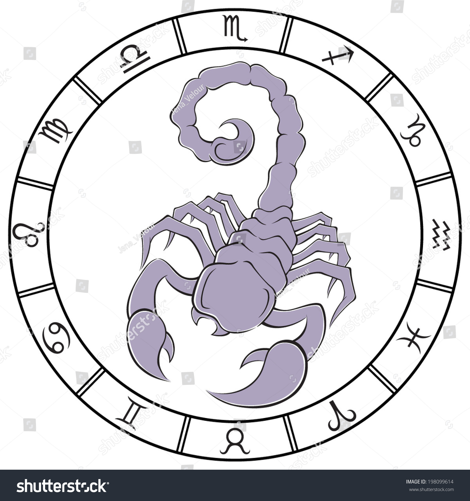 Elegant Colored Scorpio Zodiac Sign In The Frame. Vector Illustration ...