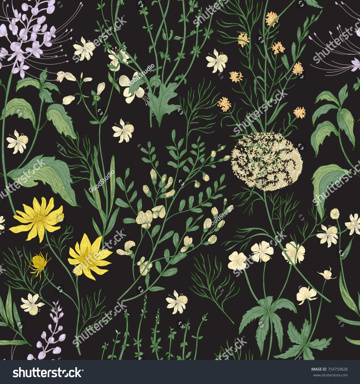 黒い背景に華やかな手描きの野生の花と優美な花のシームレスな柄 優しい花のハーブと草本 美しいアンティークスタイルの植物ベクターイラスト のベクター画像素材 ロイヤリティフリー