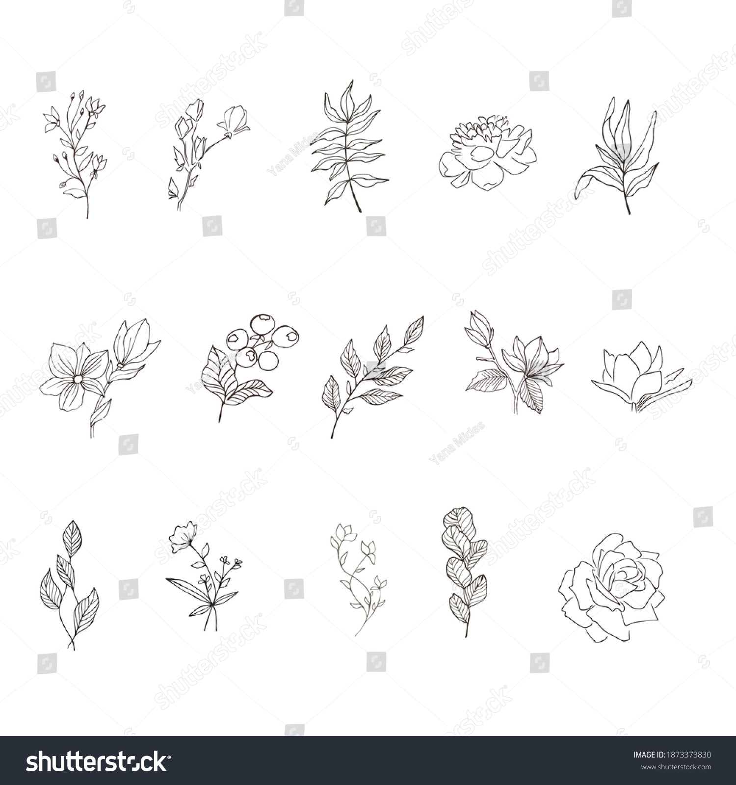 SVG of Elements for logo-Botanical clipart - flowers in vector-botanical handdrawn logo - line drawn flowers-boho line art svg- modern logo svg