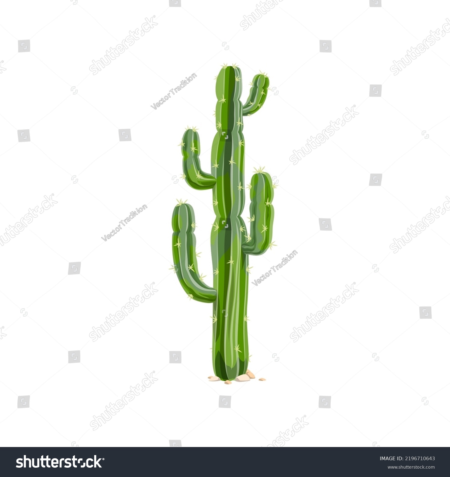 SVG of Elephant cactus, Mexican giant cardon isolated prickly cacti plant cartoon icon. Vector tropical succulent grown in desert, indians cacti with thorns, prickly succulent plant tall spiky tree svg