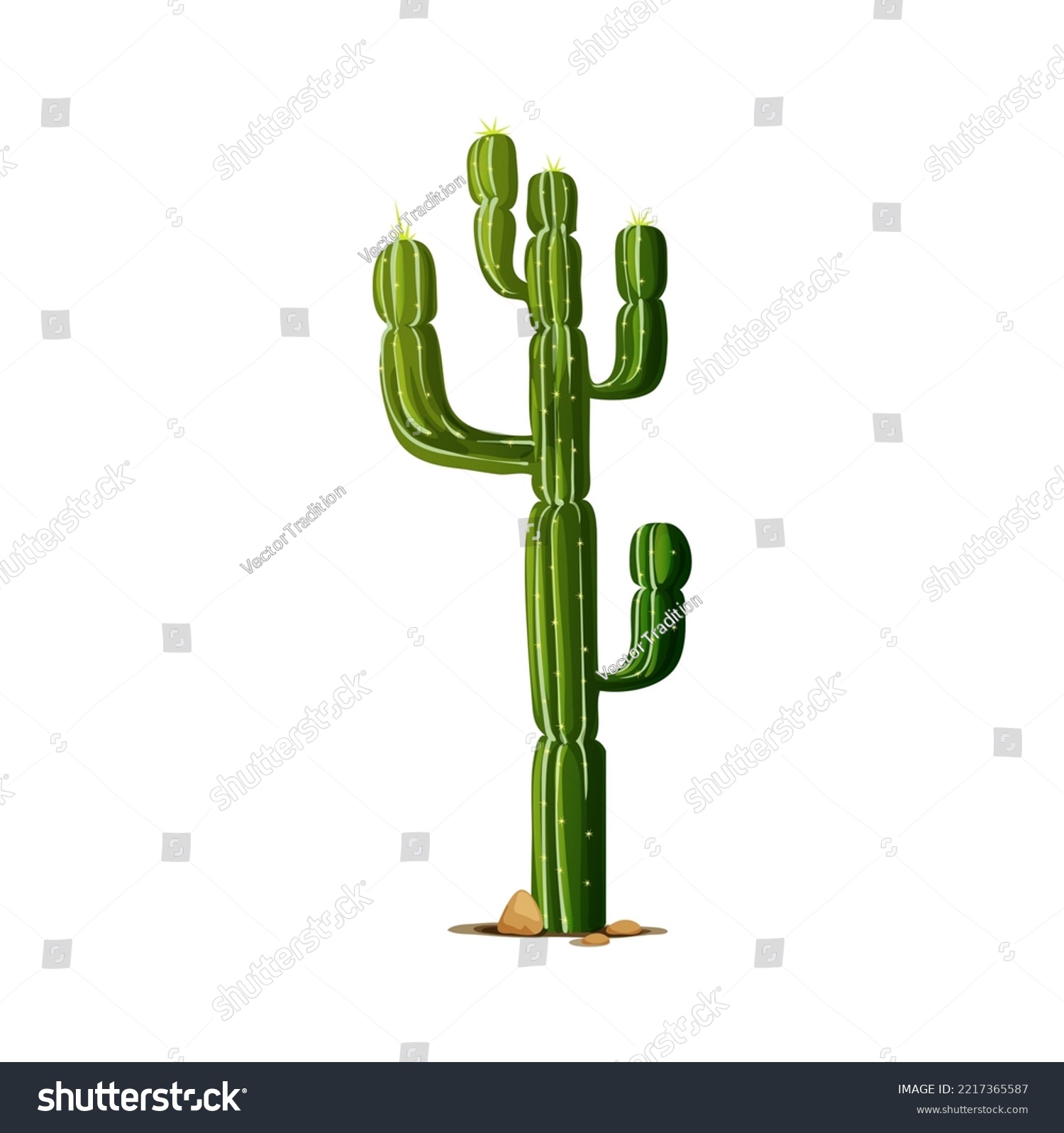 SVG of Elephant cactus, tropical succulent grown in desert isolated cartoon indians cacti with thorns. Vector prickly plant tall spiky tree, scandinavian or mexican cardon with spikes. Giant cacti plant svg