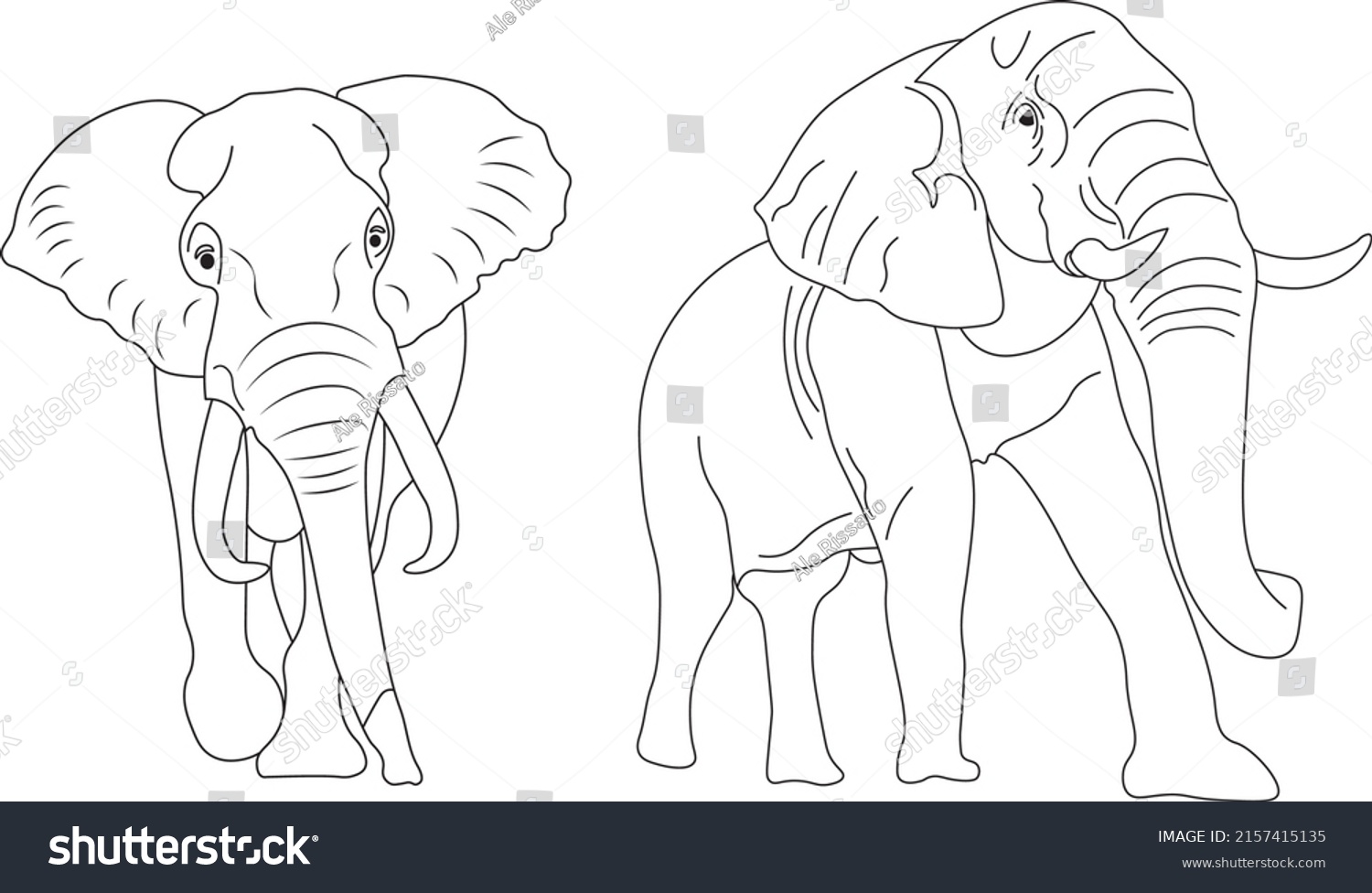 2 Animales Africanos Stock Vectors, Images & Vector Art 