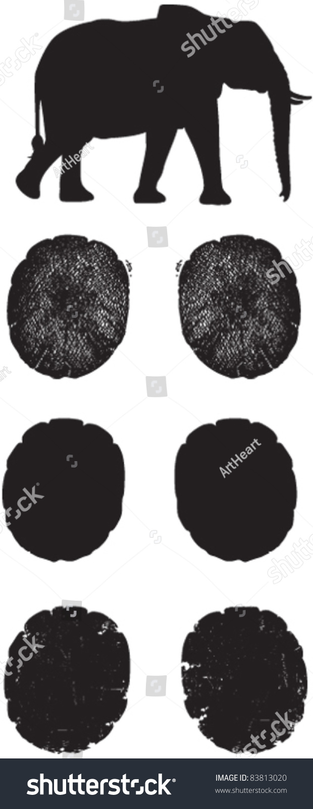 Elephant Tracks Spoor Stock Vector 83813020 - Shutterstock