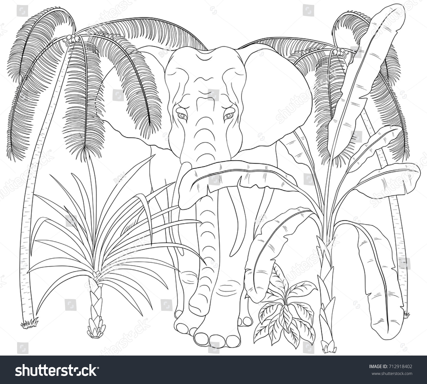 Elephant Walk Through Jungle Coloring Book Royalty Free Stock Image