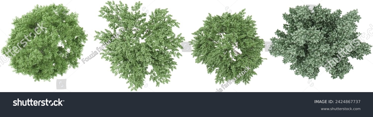 SVG of Elm,Dogwood trees collection of top view isolated on transparent background svg