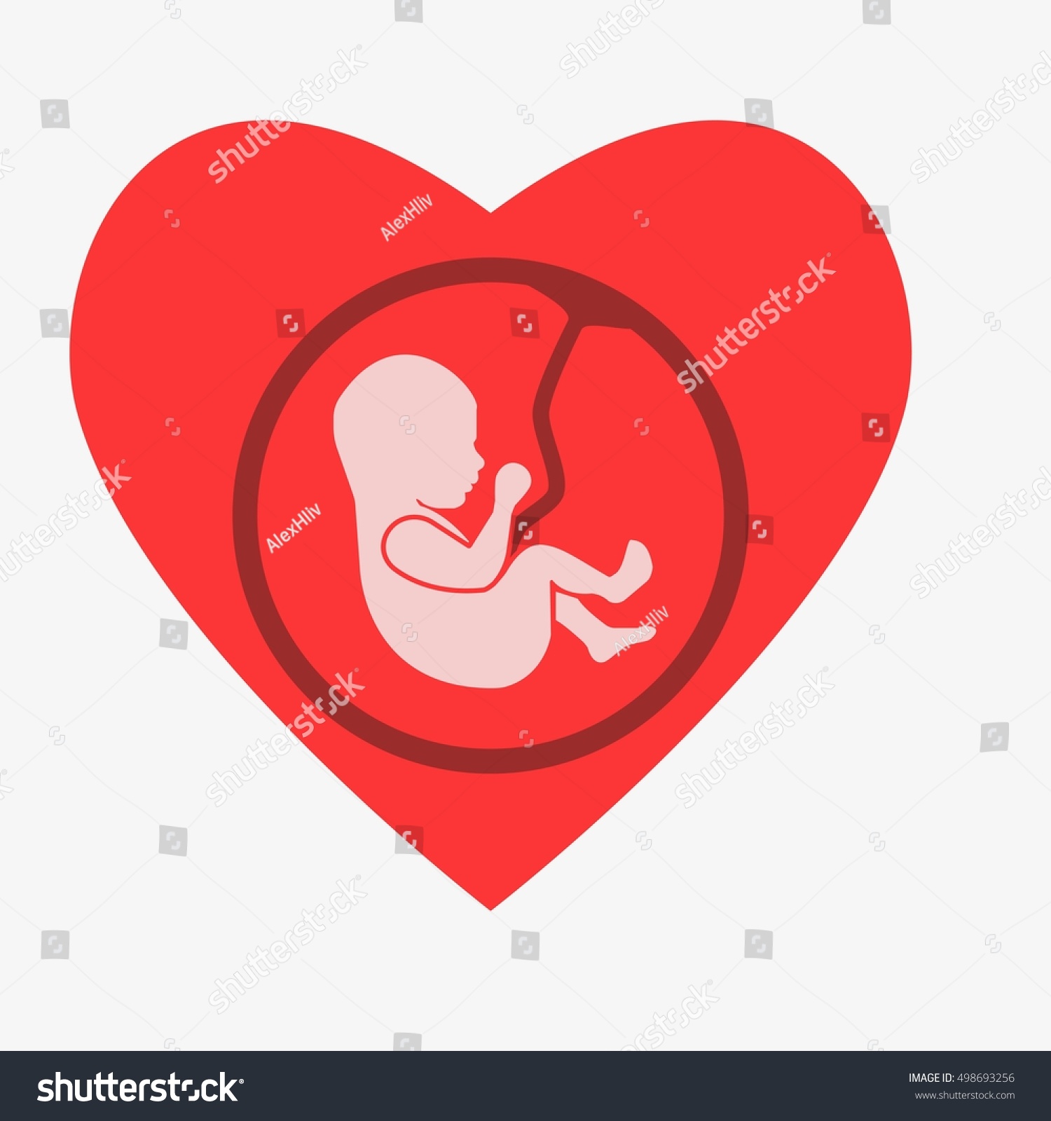 Embryo Phase Born Embryo Heart Shape Stock Vector (Royalty Free) 498693256