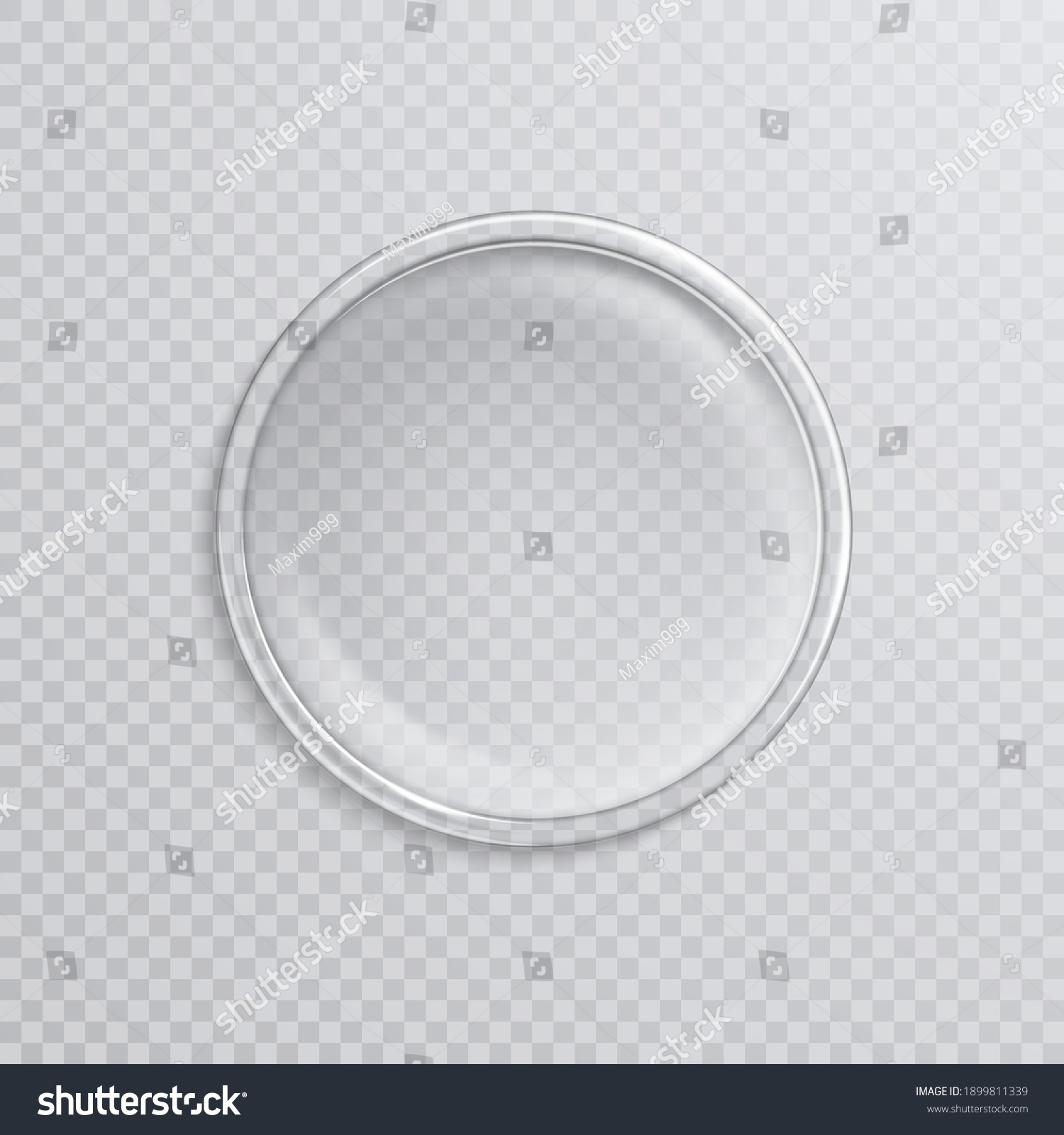 Empty Realistic Petri Dish Isolated On Stock Vector (Royalty Free ...