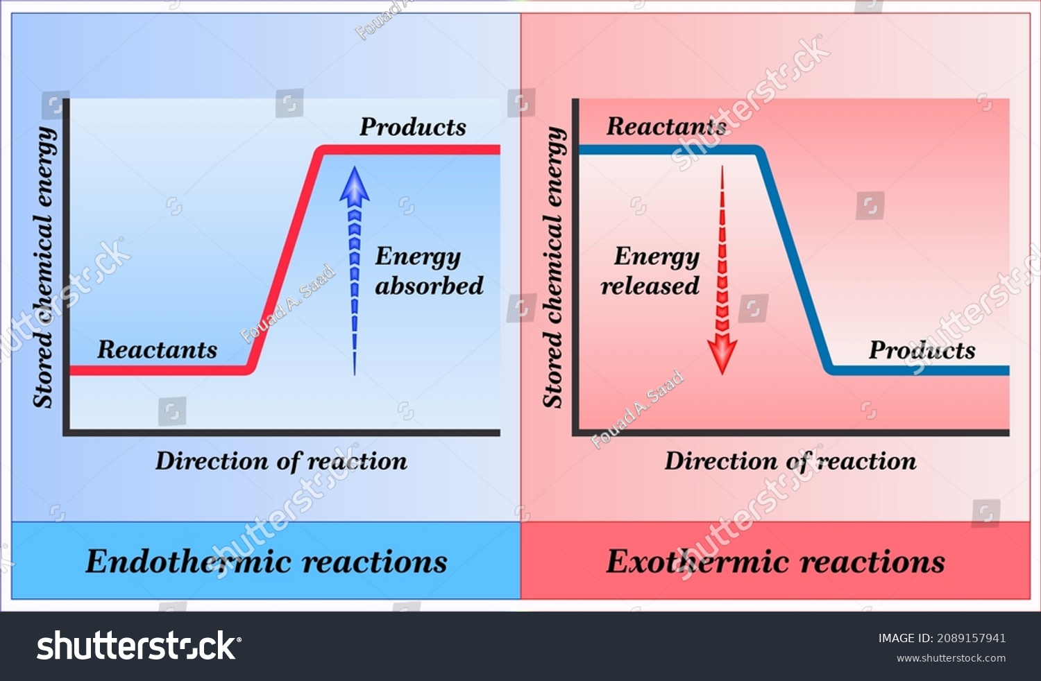 Endothermic Exothermic Reactions Change Enthalpy Stock Vector (Royalty ...