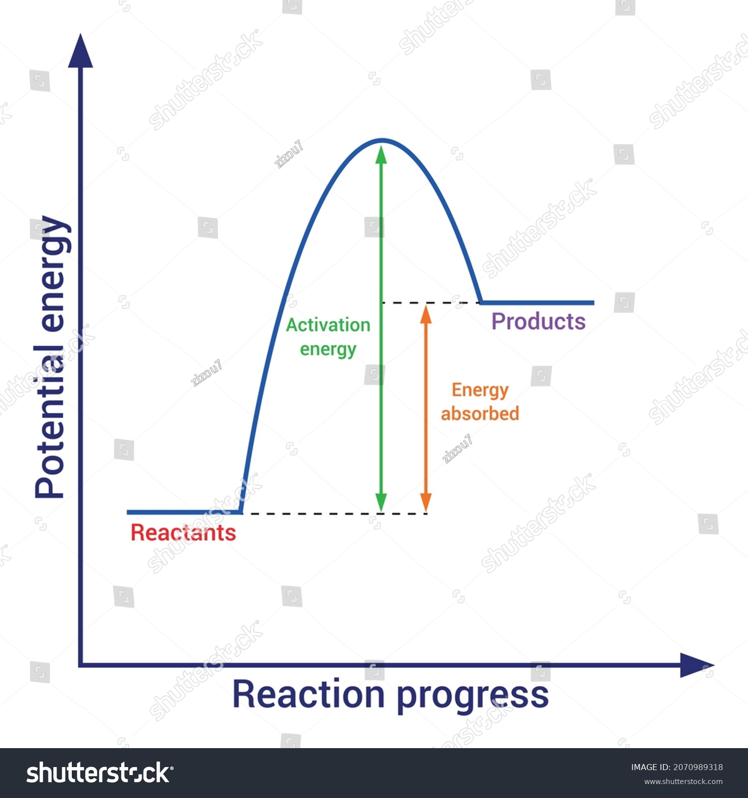 Endothermic Reaction Graph Chemistry Stock Vector (Royalty Free) 2070989318