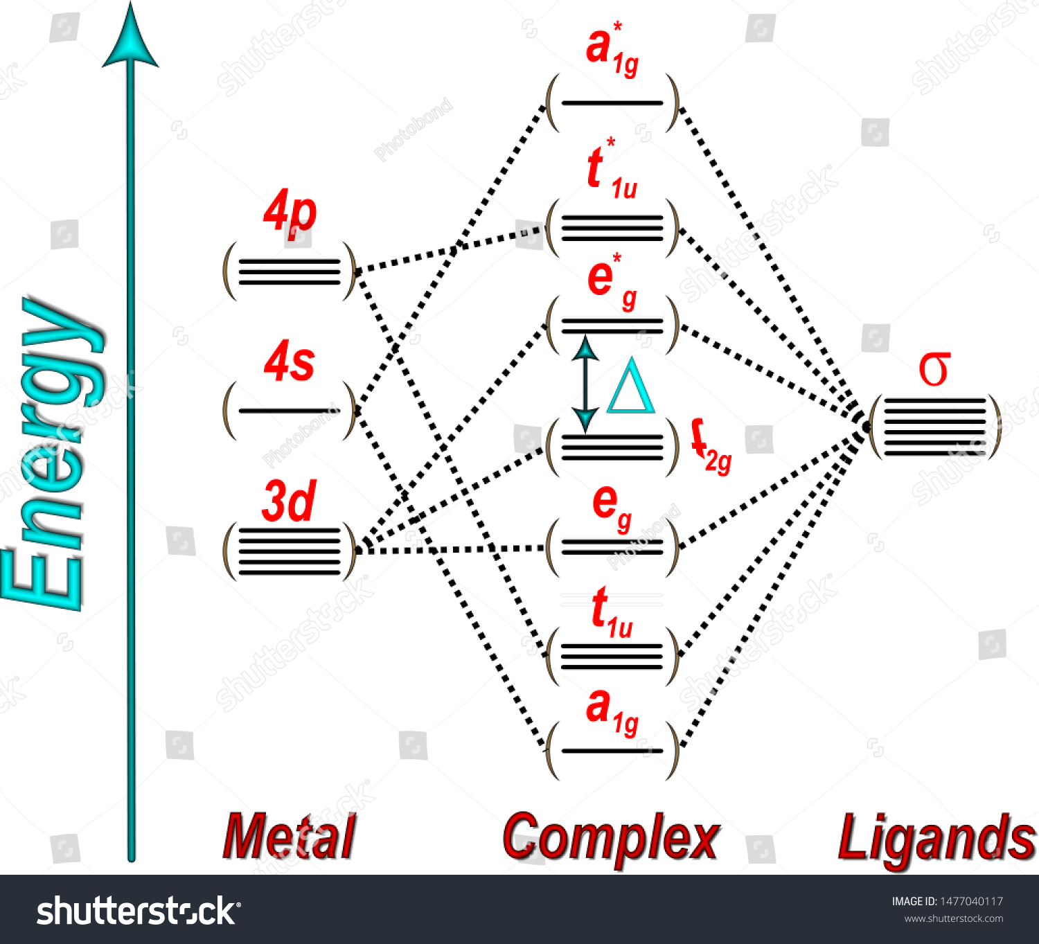 Energy Scheme Molecular Orbitals Octahedral Complexes 库存矢量图（免版税 ...