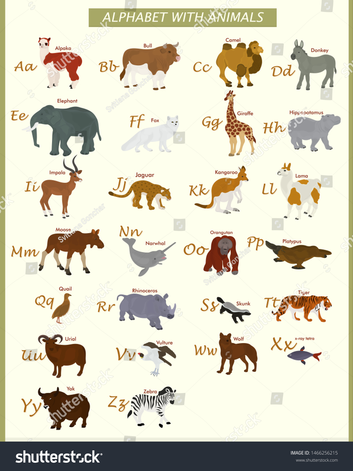 English Alphabet Wild Animals Their Names Stock Vector Royalty Free 1466256215