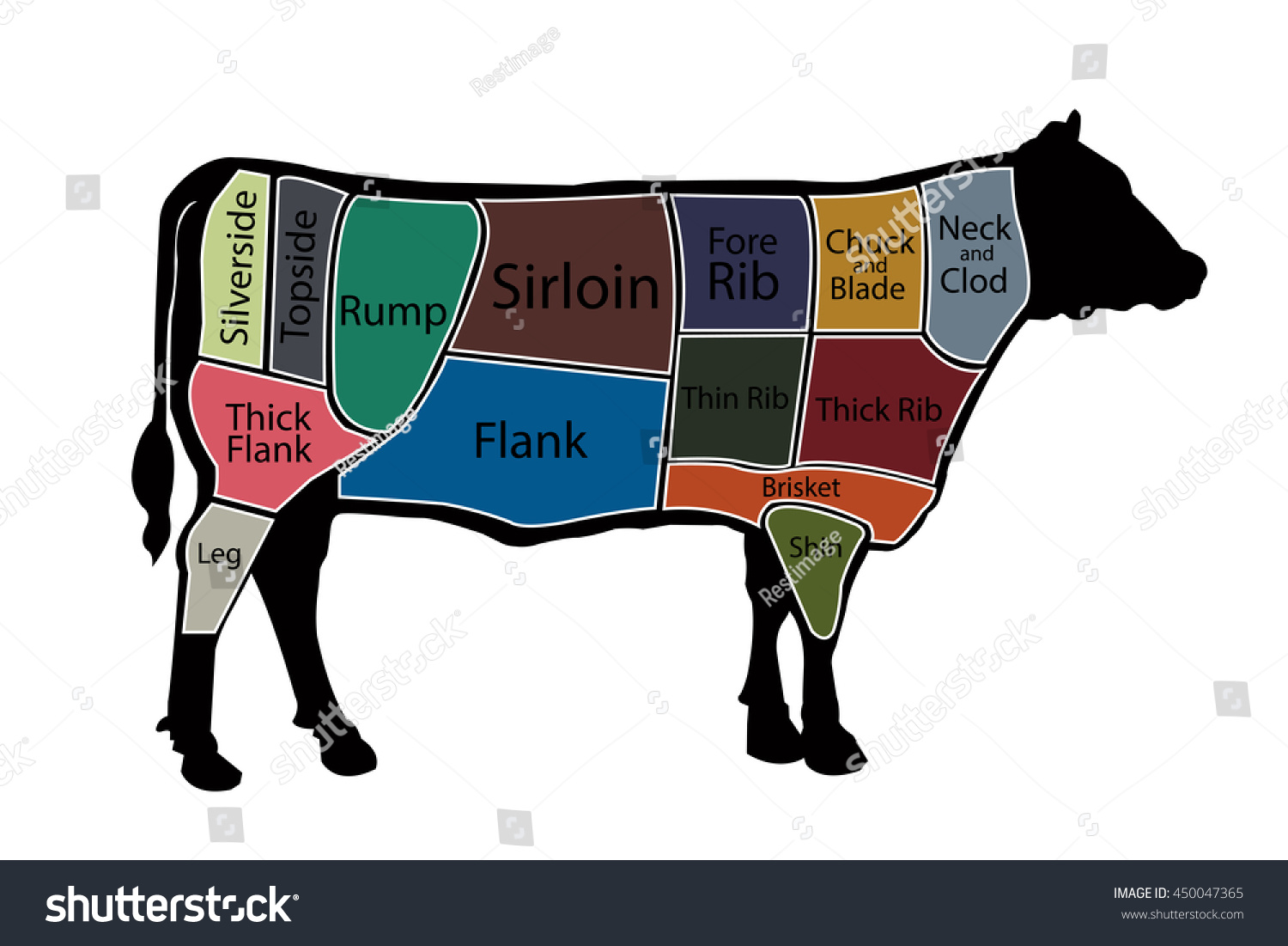 English Cuts Beef Vector Illustration Eps10 Stock Vector (Royalty Free ...