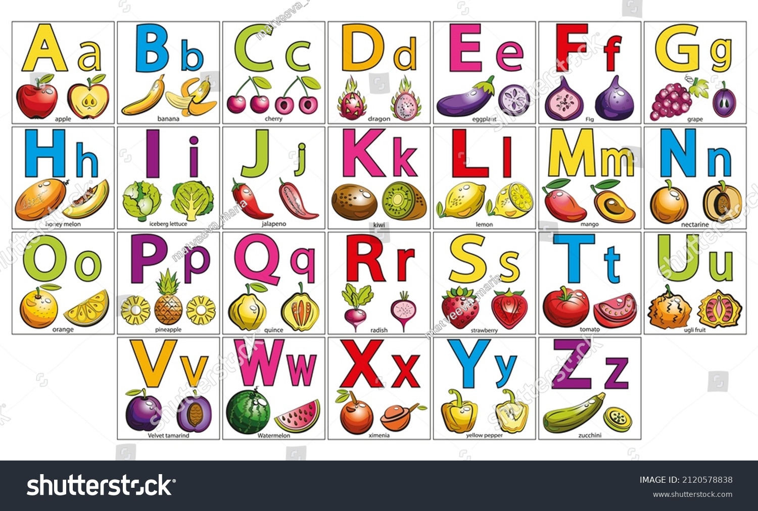 English Illustrated Alphabet Fruits Vegetables Set Stock Vector ...