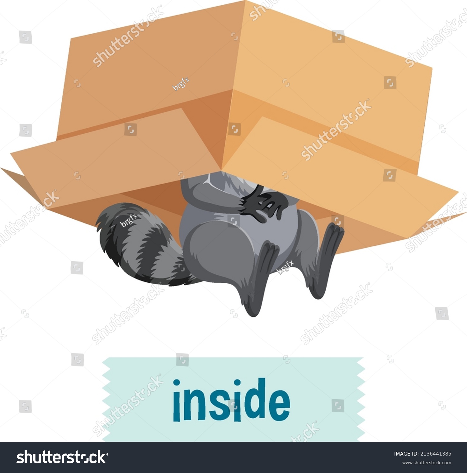 English Prepositions Raccoon Inside Boxes Illustration Stock Vector Royalty Free 2136441385