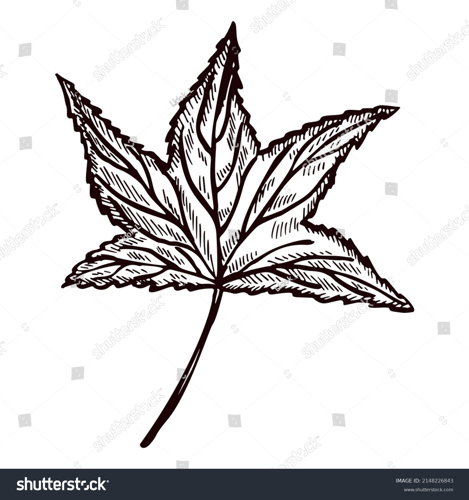 Engraved Tree Leaf Isolated White Background Stock Vector (Royalty Free ...