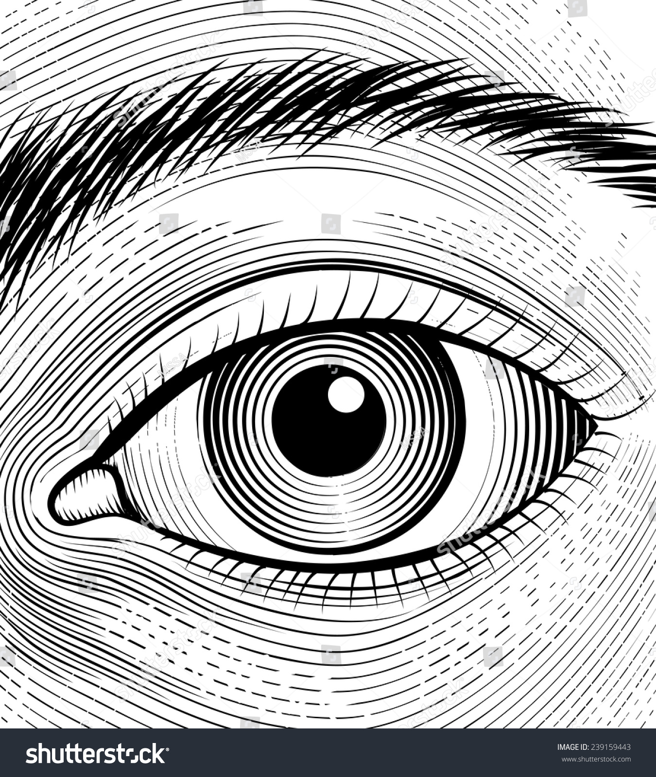 Engraving Human Eye Sketch Eyes Closeup Stock Vector Royalty Free