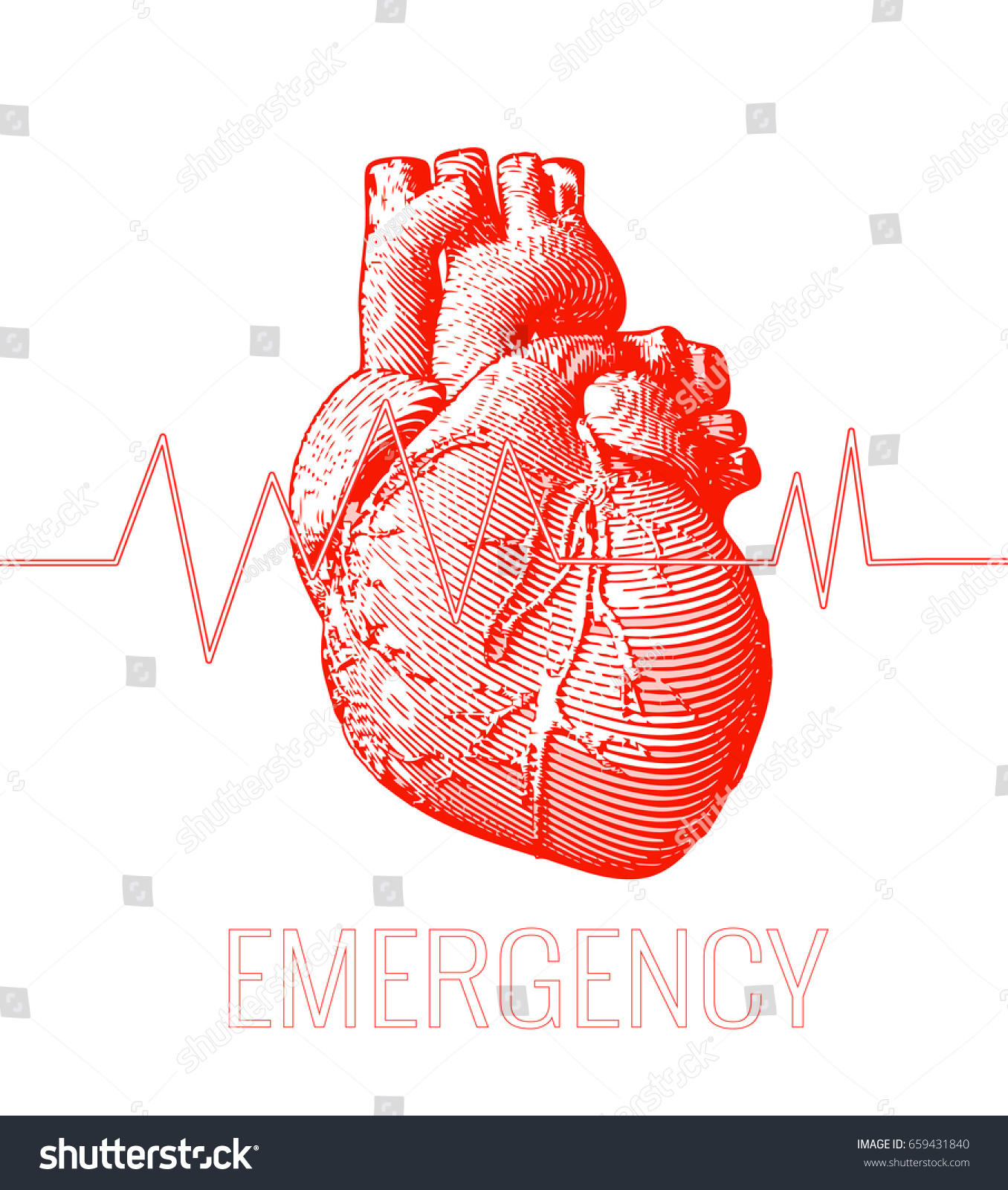 白い背景に心拍数パルスグラフと緊急時の赤い人の心イラストを彫る のベクター画像素材 ロイヤリティフリー