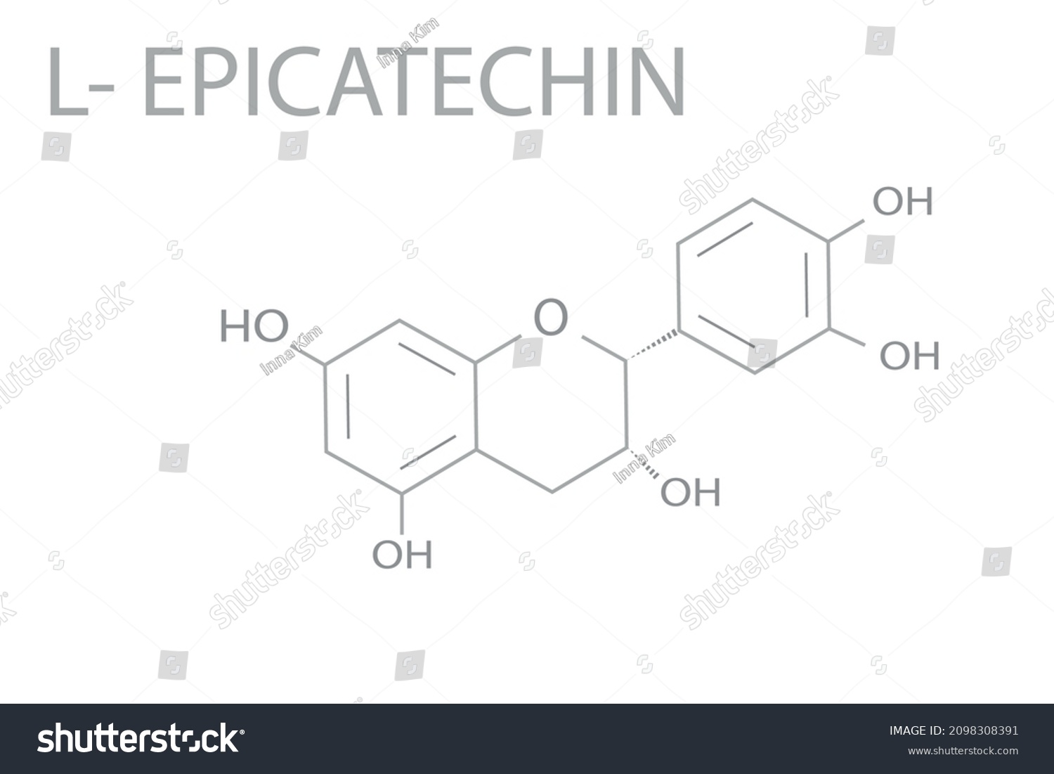 Epicatechin Molecular Skeletal Chemical Formula Stock Vector (Royalty ...