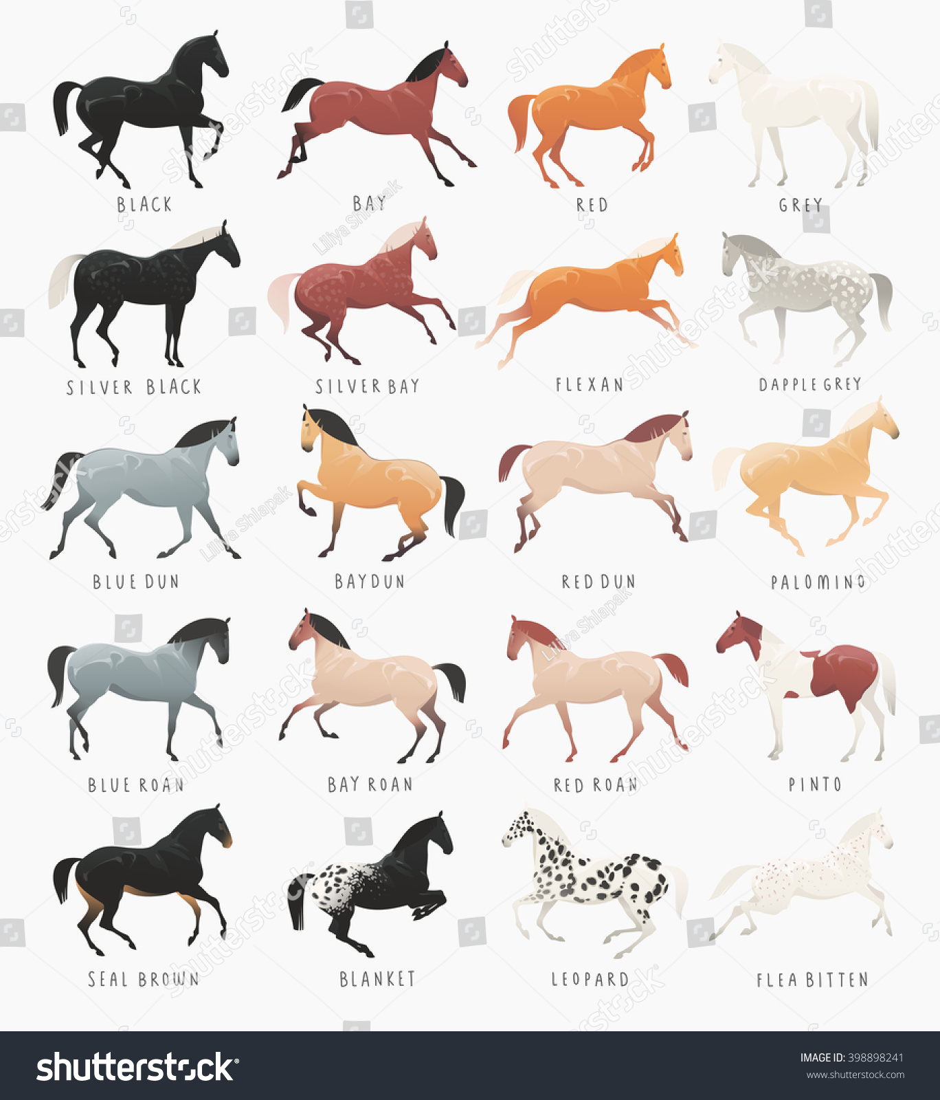 Horse markings Images, Stock Photos & Vectors | Shutterstock