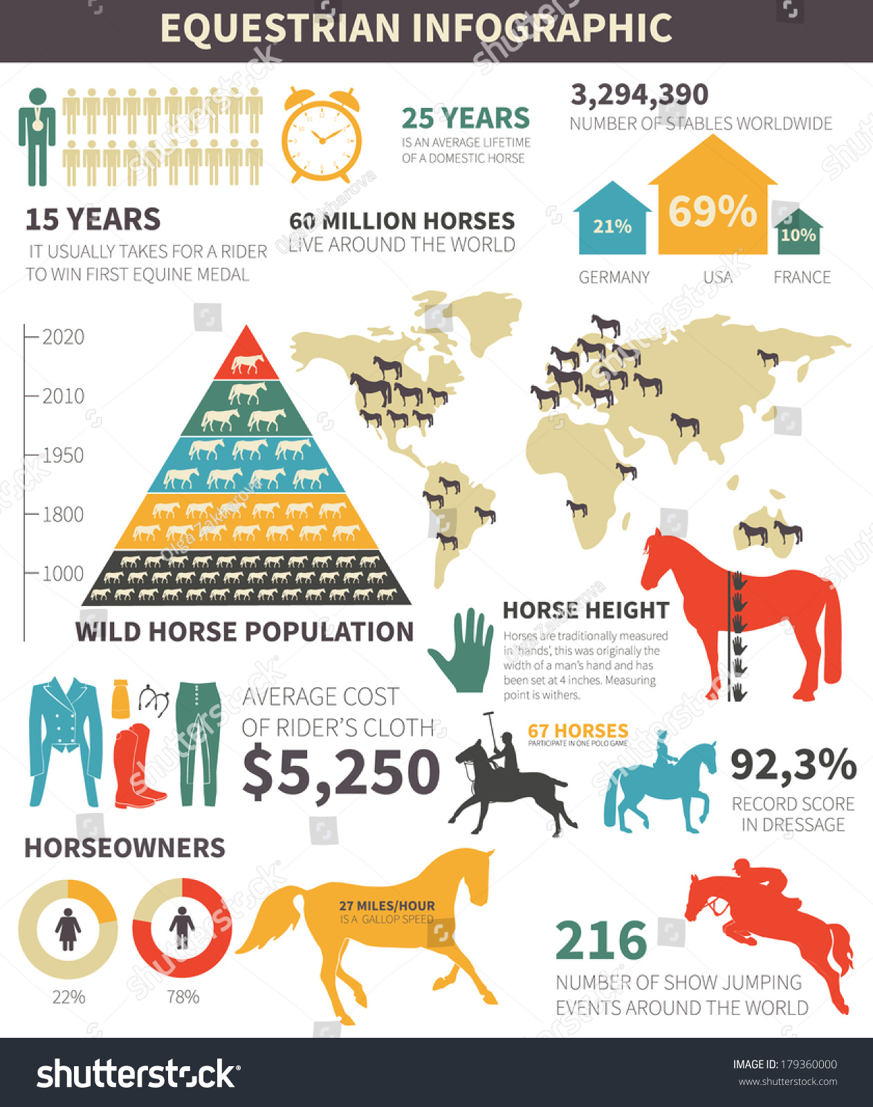 Equestrian Infographic Different Horse Related Elements Stock Vector ...