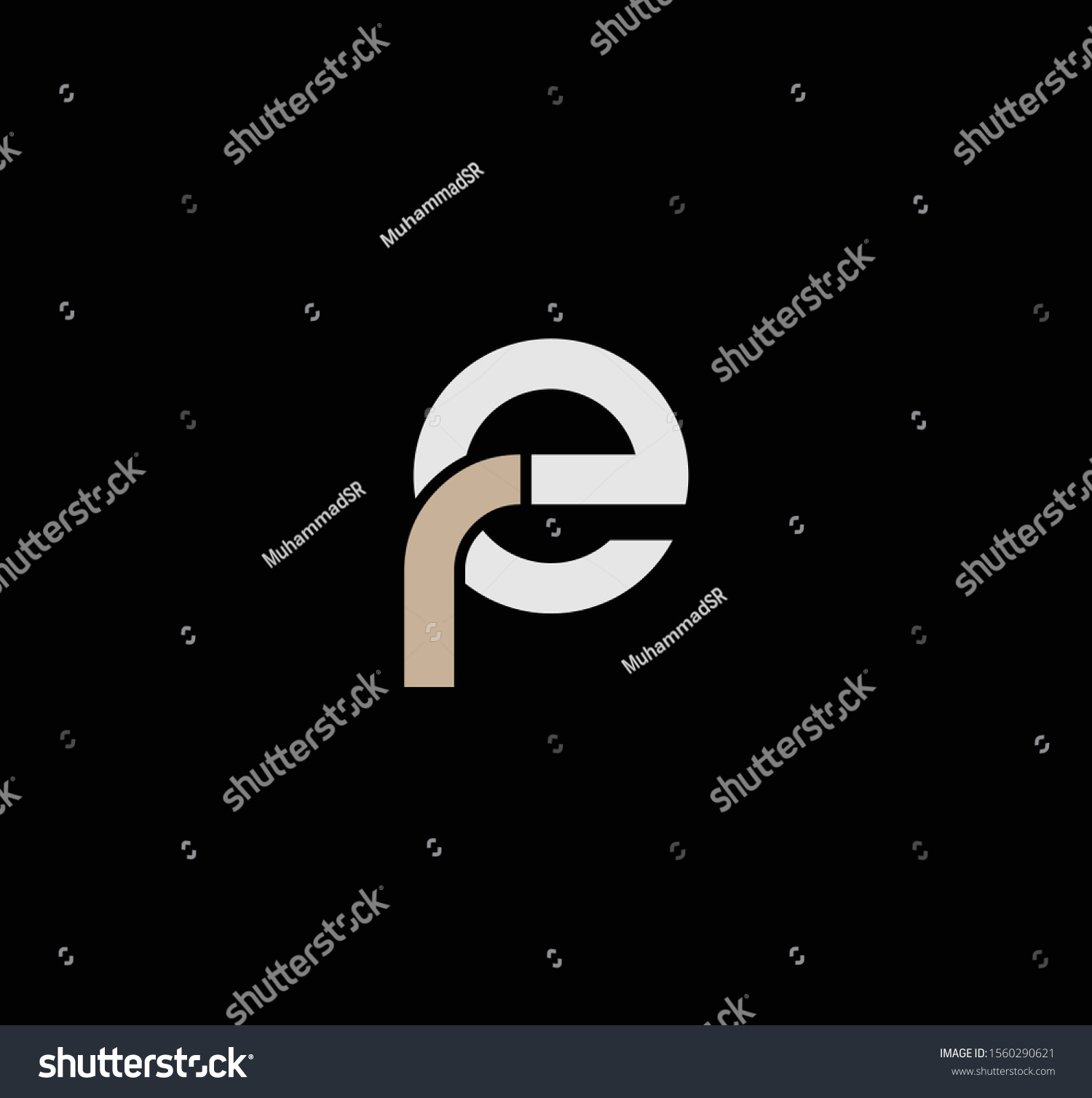 Er Letter Designs Logo Icons Stock Vector (Royalty Free) 1560290621 ...