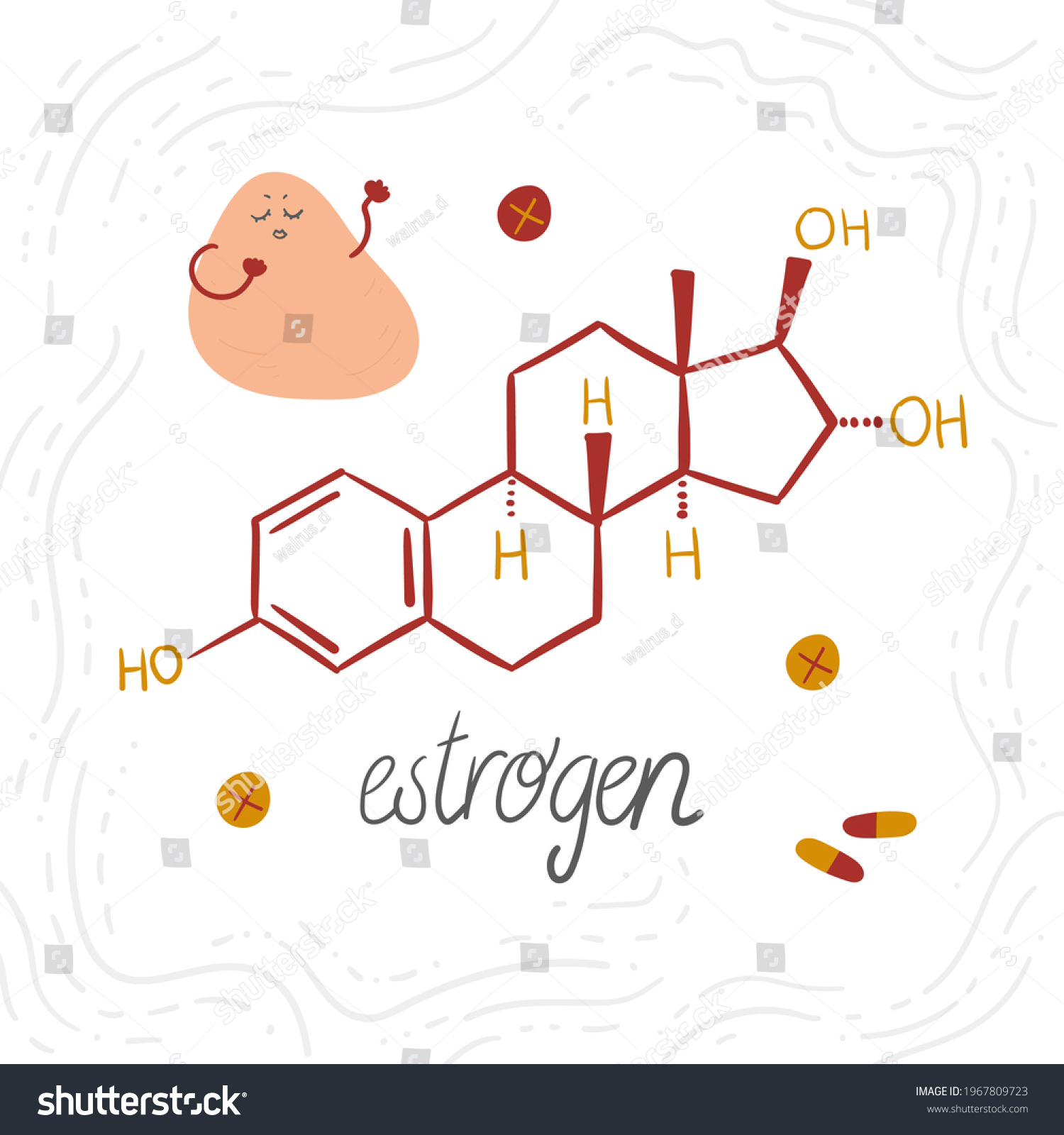 Estrogen Chemical Formula Female Sex Hormone Stock Vector Royalty Free