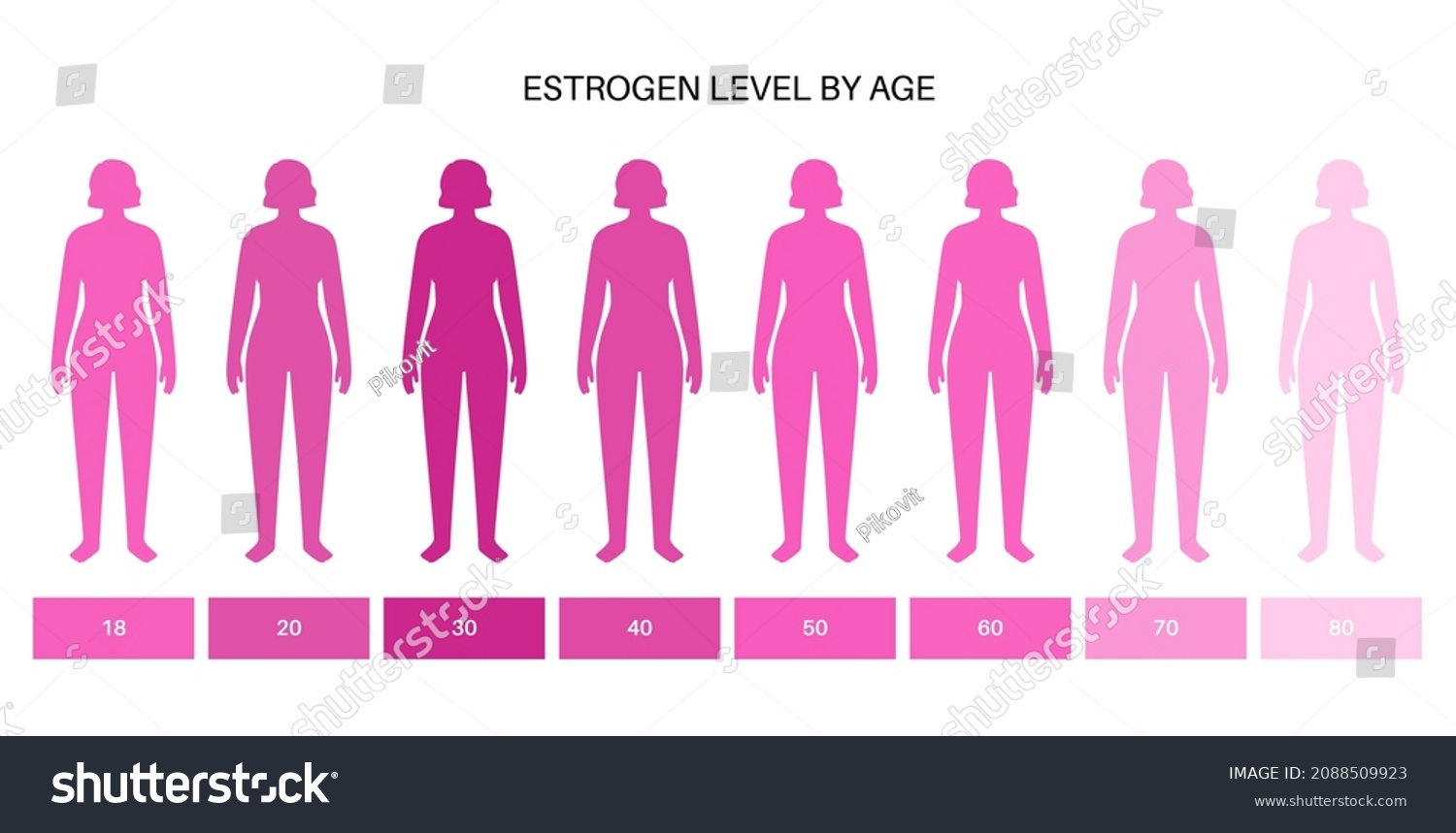 Estrogen Level Color Chart Sex Hormone Stock Vector Royalty Free 2088509923 3285